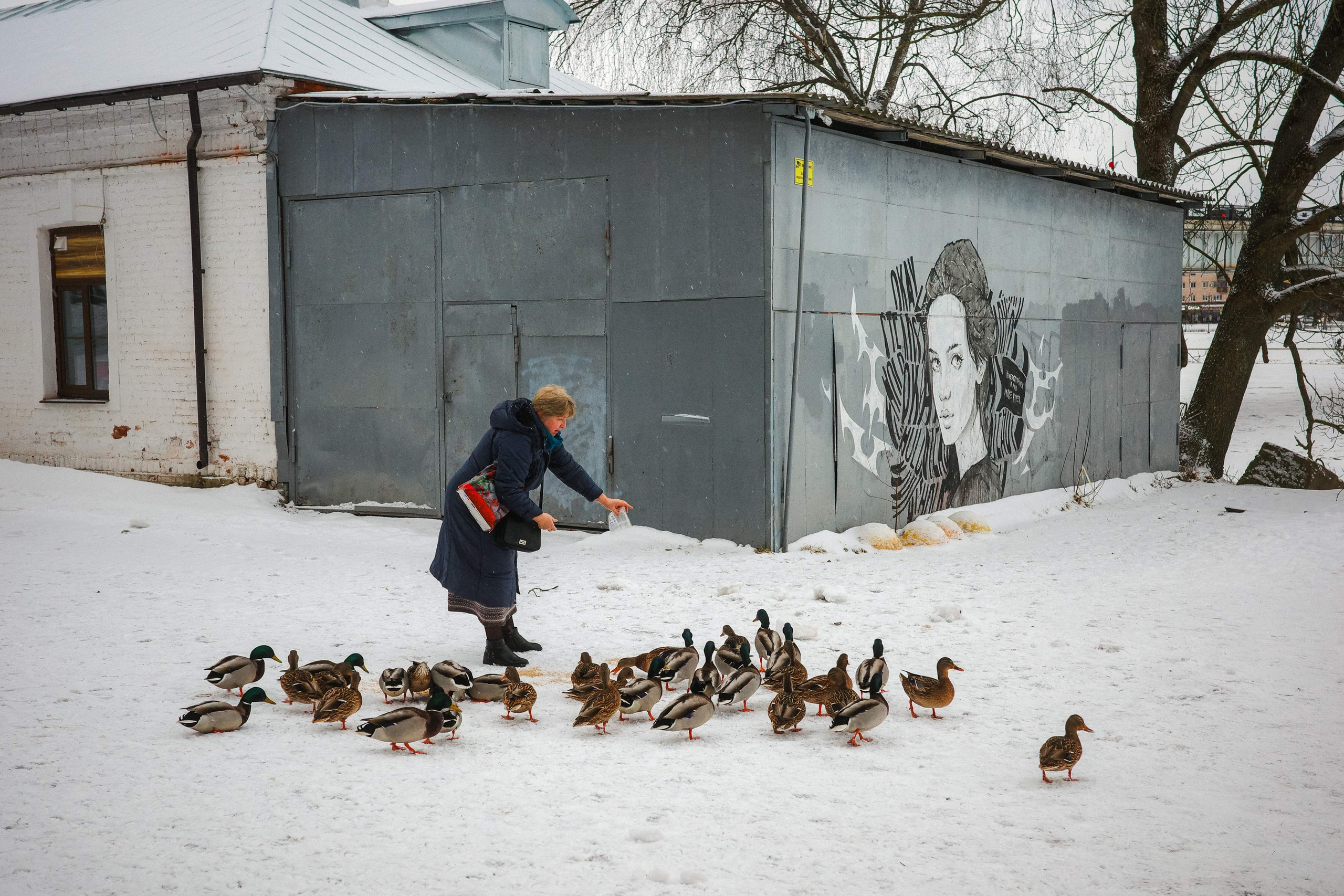 2025.01. Фотограф Алексей Алексеев