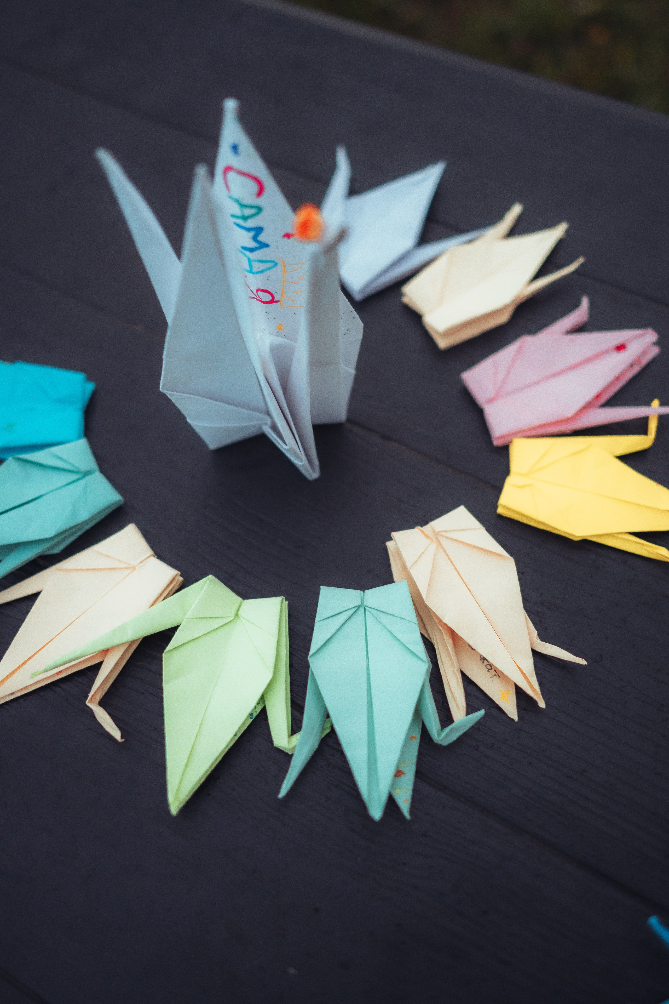 Детский лагерь — 4 смена 2025 год. Иван Кубик — фотограф и видеограф