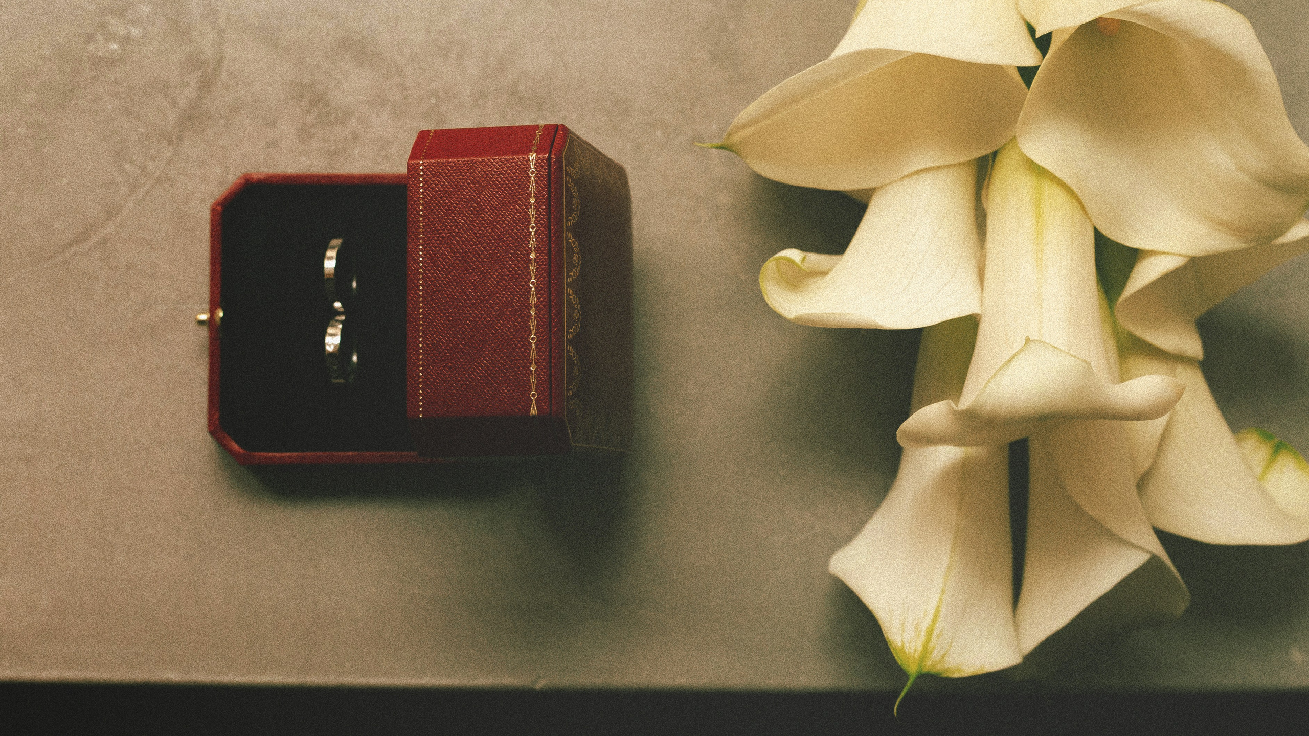 Михаил и Ирина. Свадебный фотограф в Санкт-Петербурге Саша Колоцей