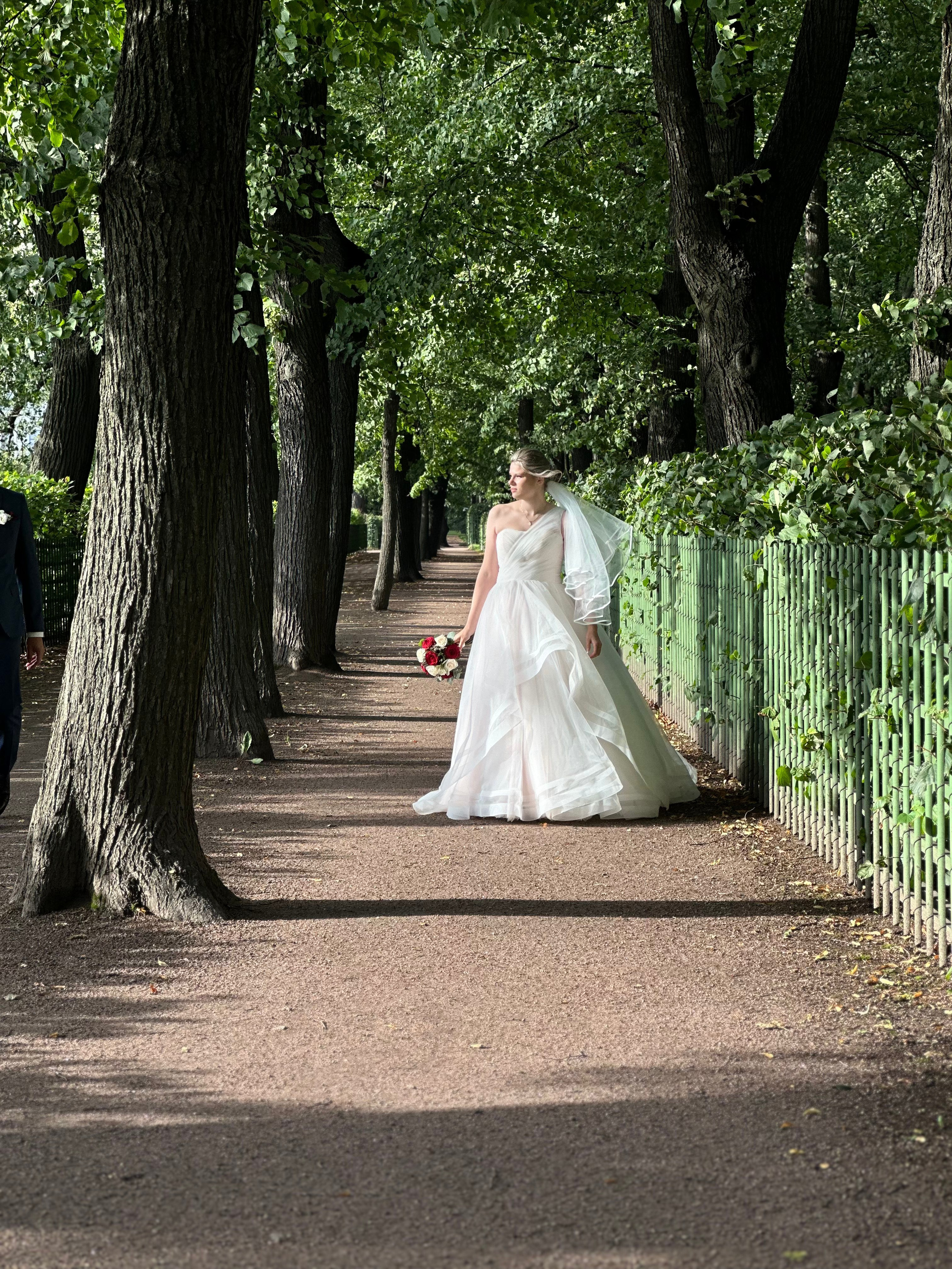 Фотографии iPhone