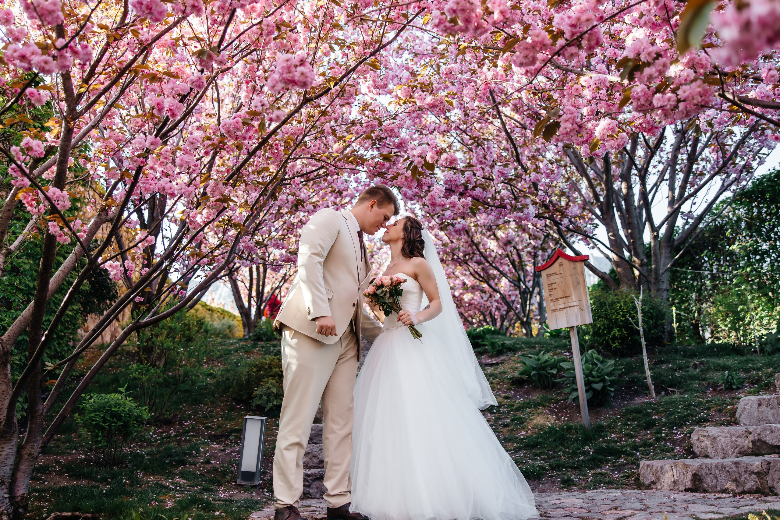 Сакура в Японском саду. Анонс свадьбы для Никиты и Марины. Свадебный фотограф в Крыму и Севастополе Ольга Баскакова