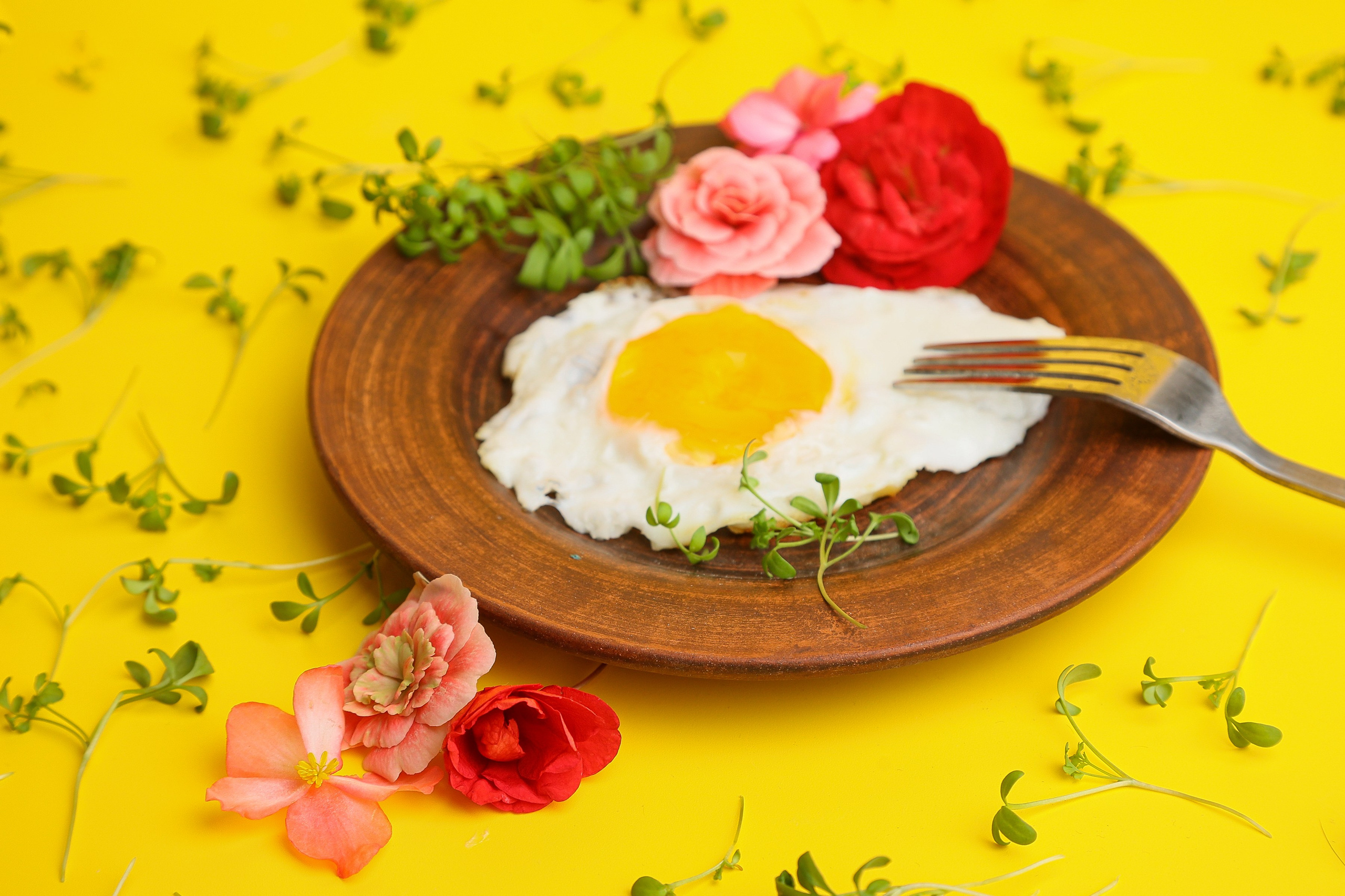 Портфолио. Предметная съемка