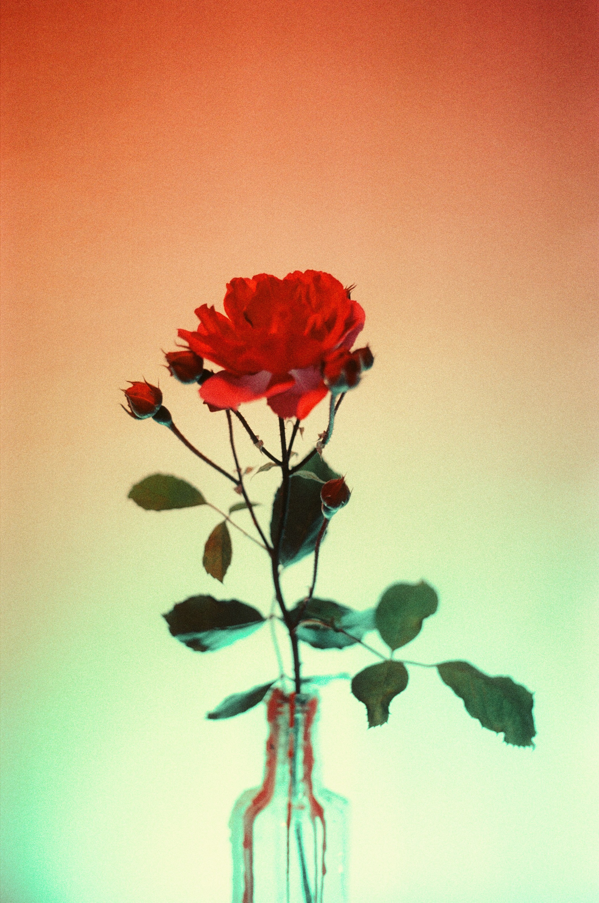 Фотограф в Москве Александр Иванов