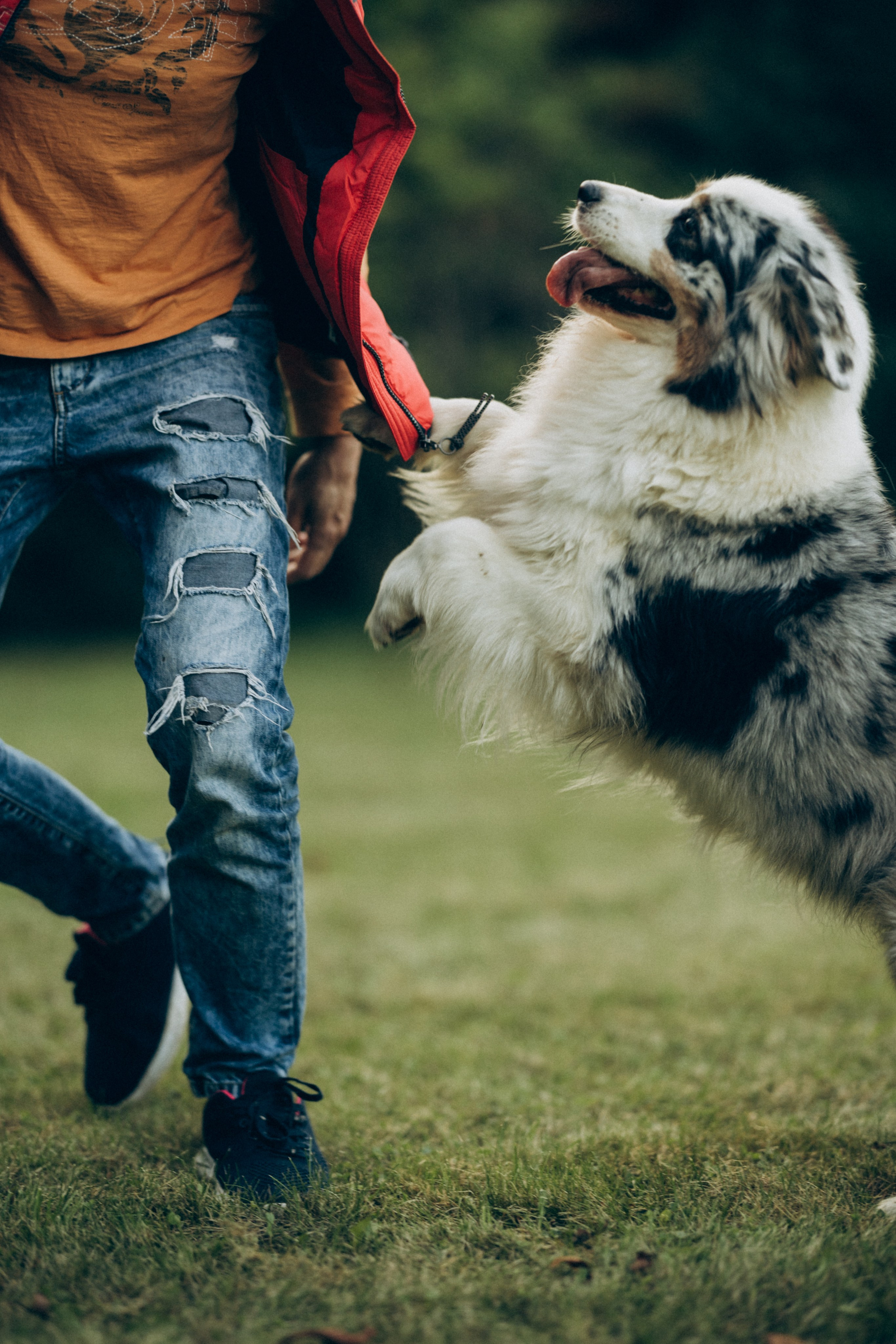 Катя и ее стая. Татьяна Афонина | Фотограф