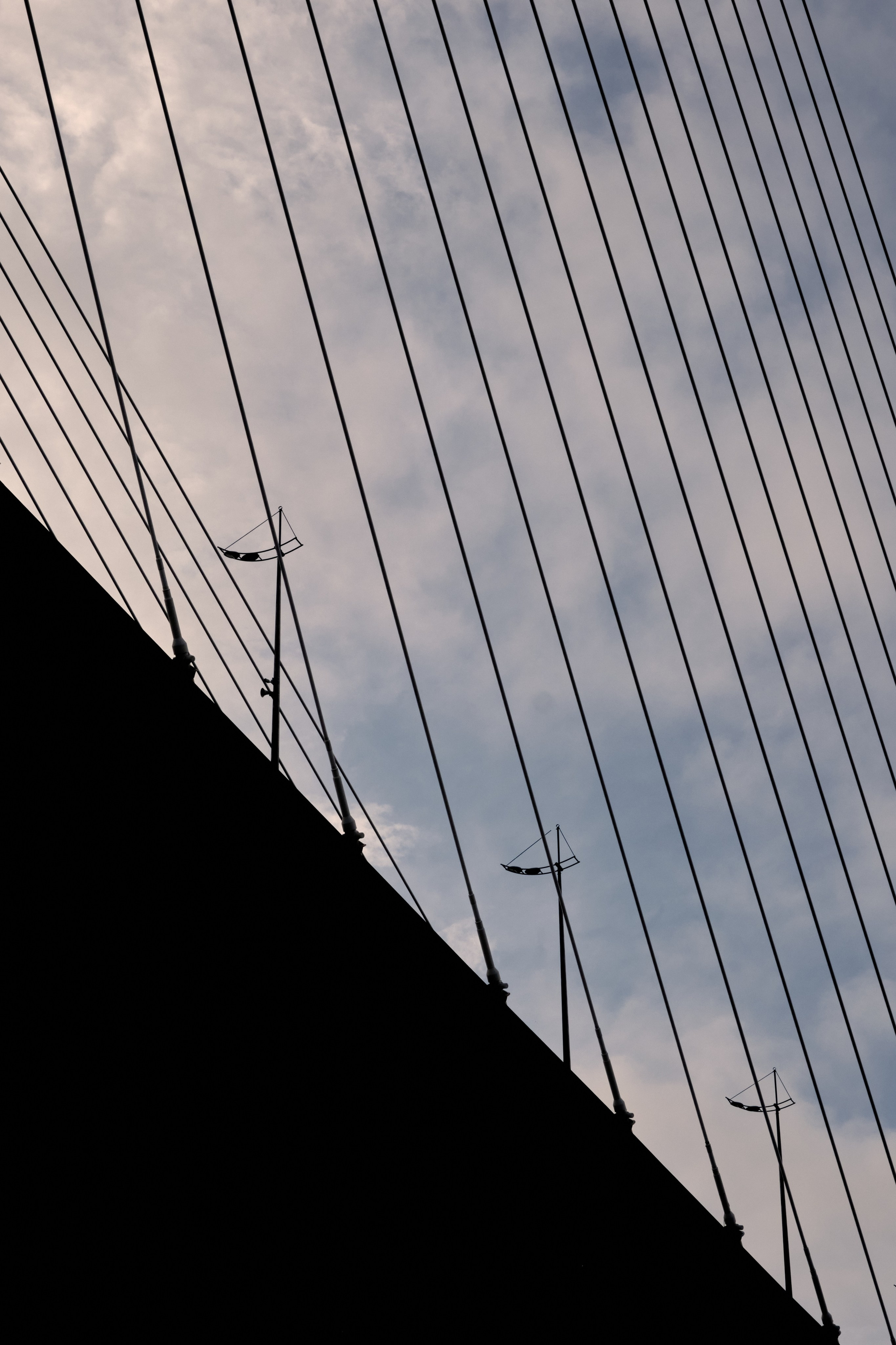 Москва — Владивосток. Охота за образами Мира. Shaltay Gallery