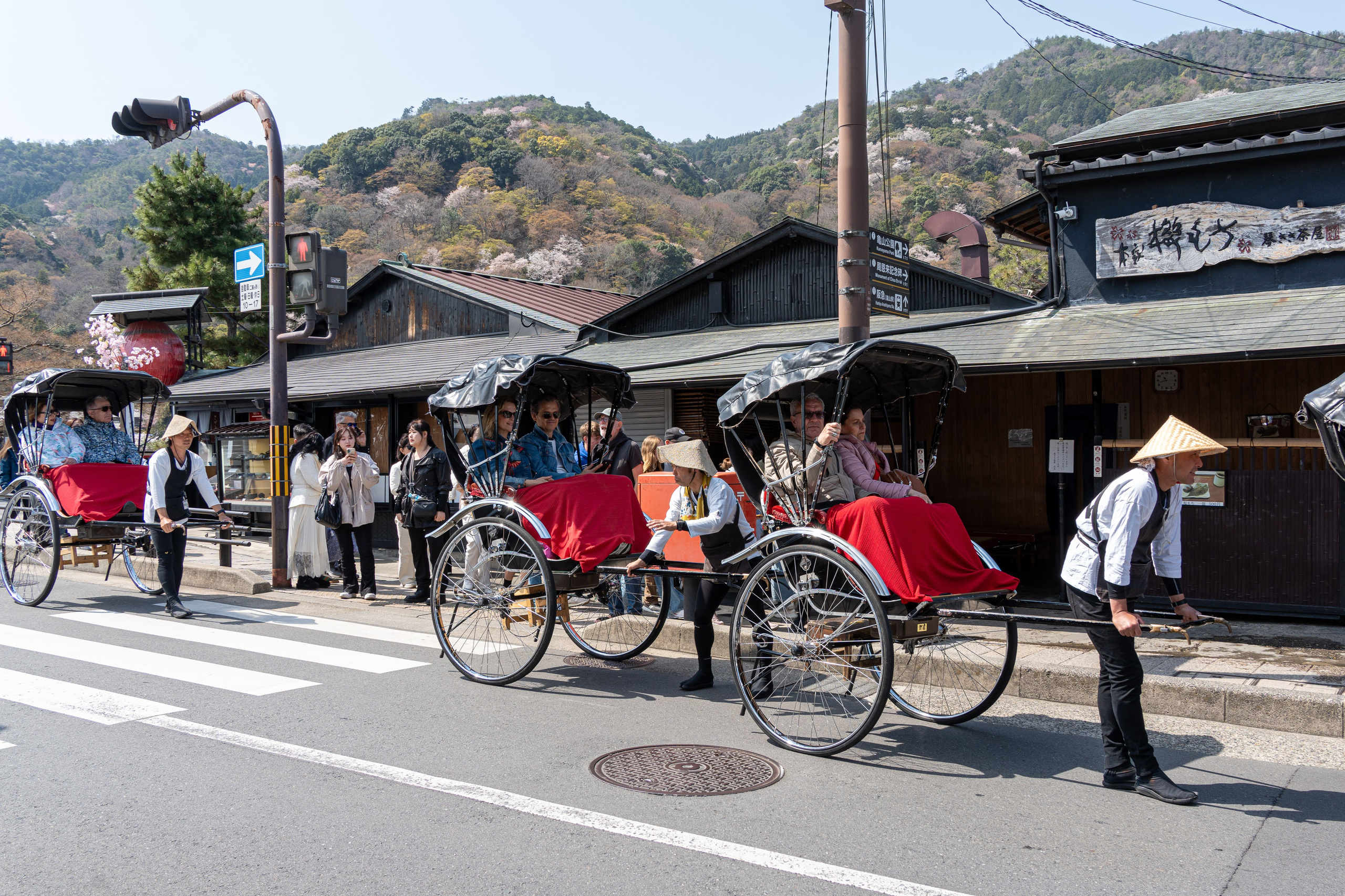 Япония, сакура. Творческие сьемки