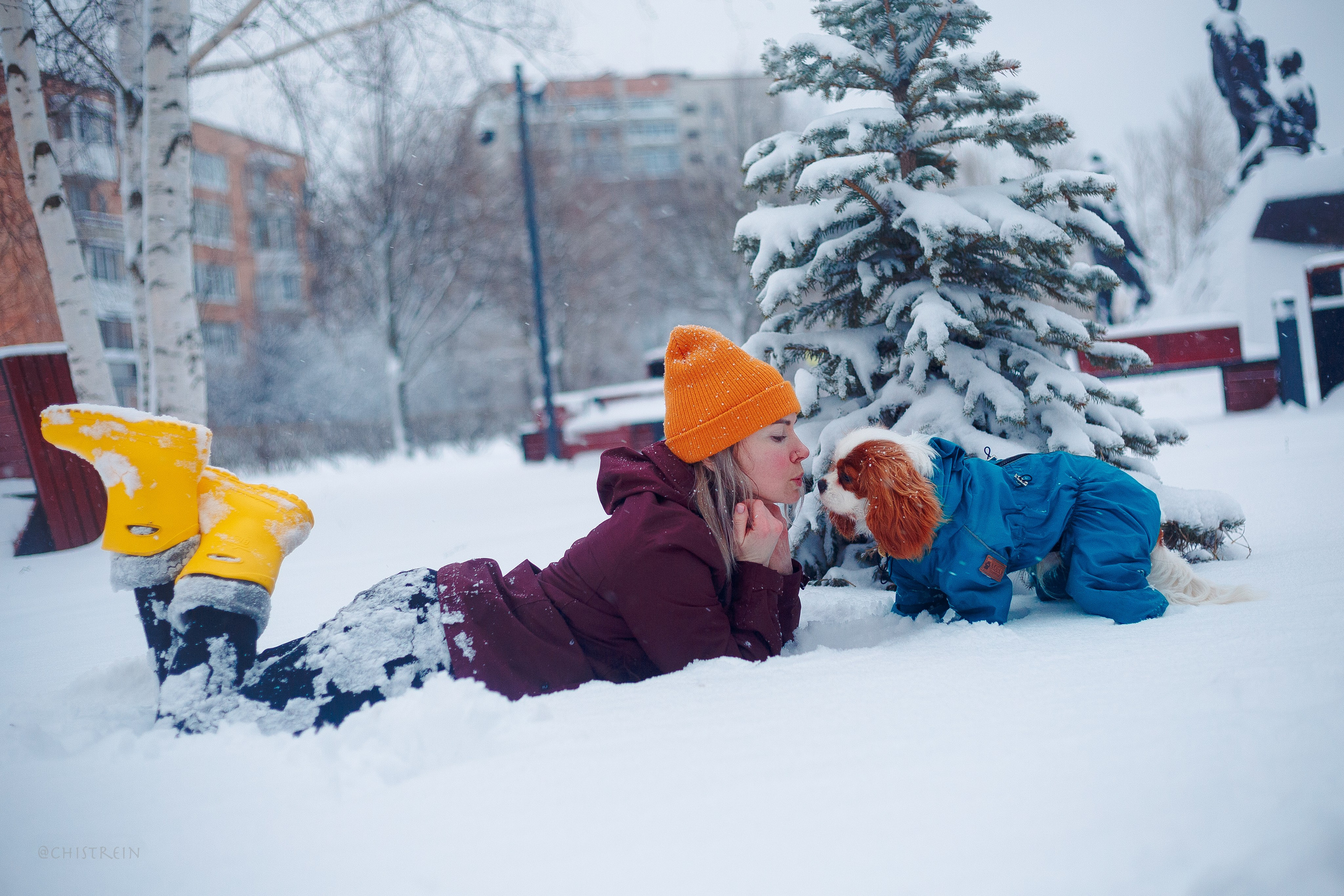 Внезапно апрельская зима. Фотограф-анималист Наталия Чистюхина в г. Сосновый Бор и ЛО