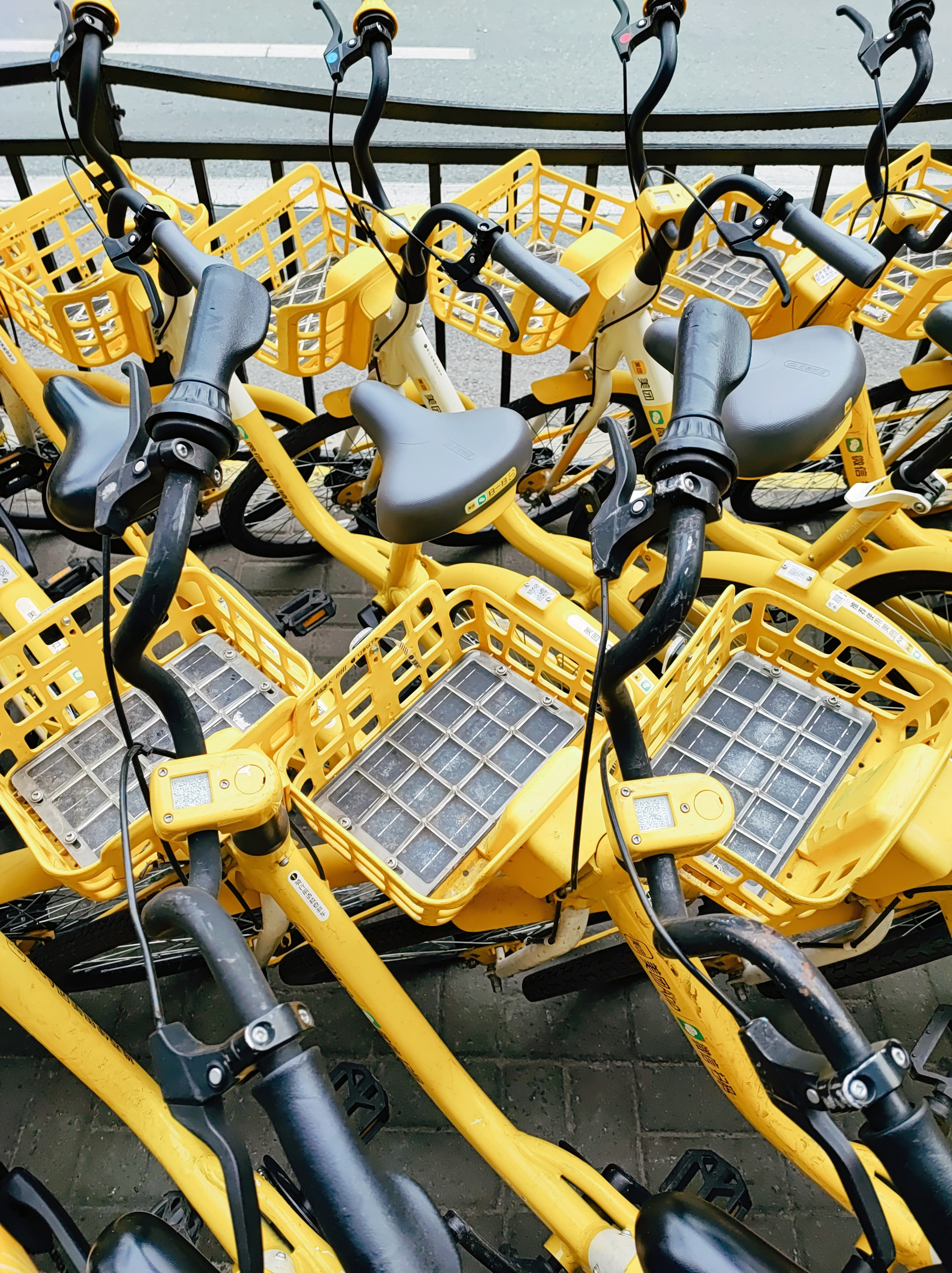 Намобилкус китайский. Репортажный фотограф Алексей Пирязев