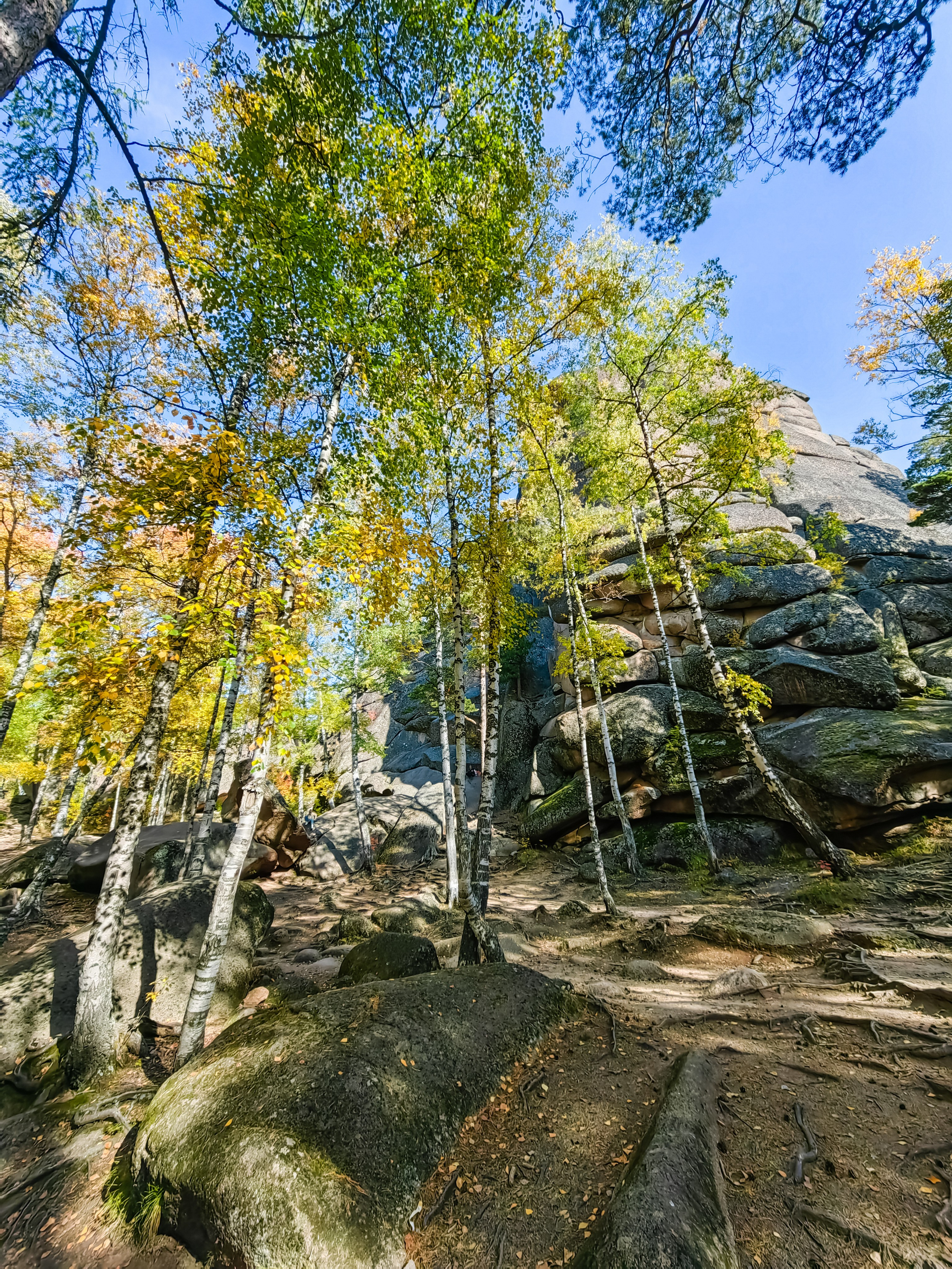 Экскурсия национальный парк заповедник Красноярские столбы цена заказать забронировать фото тур интересные места достопримечательности что посмотреть где побывать в Красноярске  Туристический маршрут центральные столбы скала Перья Дед Львиные ворота первый второй столб Фотосессия фотограф Красноярск природа пейзаж аэросъёмка с FPV дрона квадрокоптера