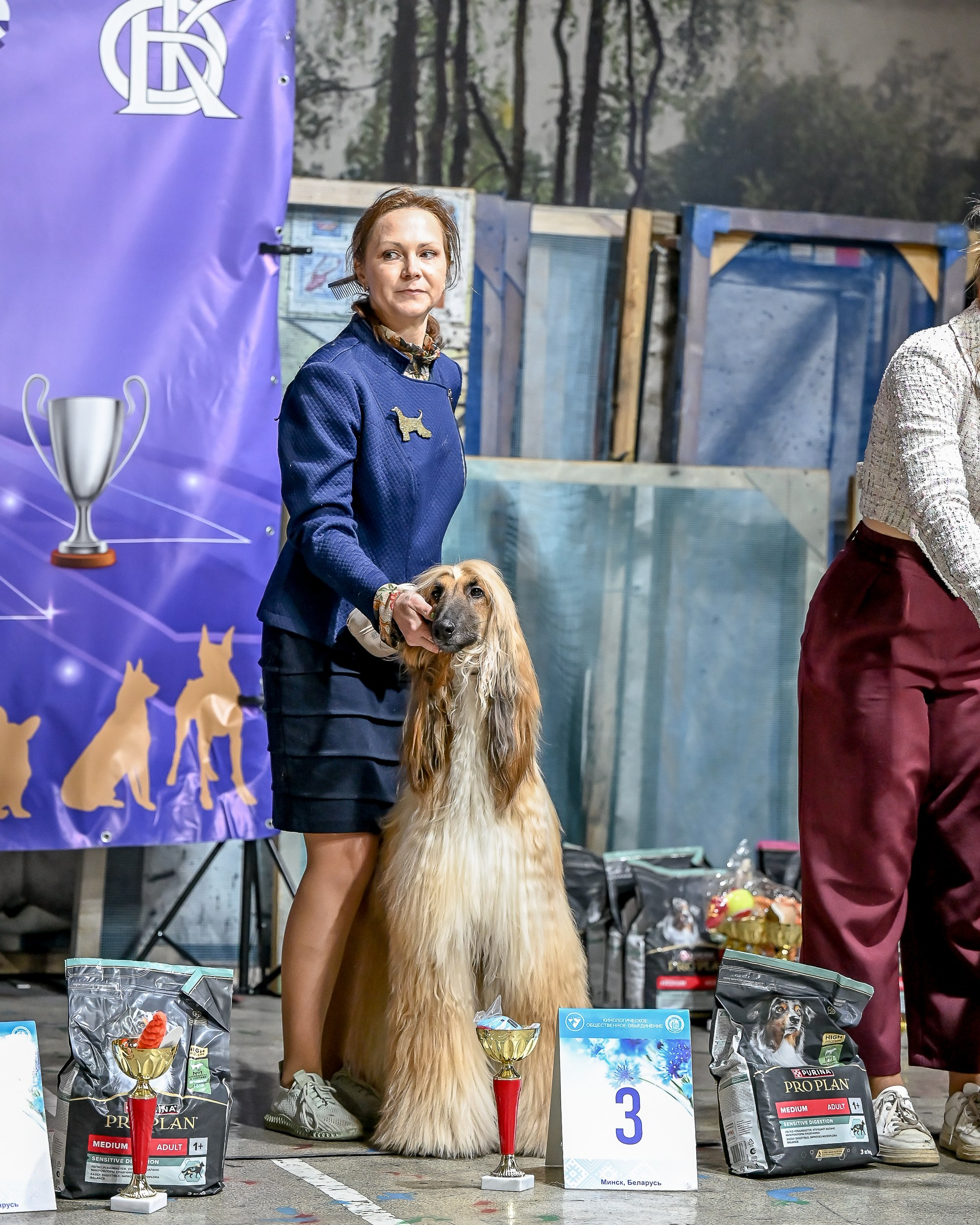 29.03.2026 KOO. Галерея фотографий афганской борзой