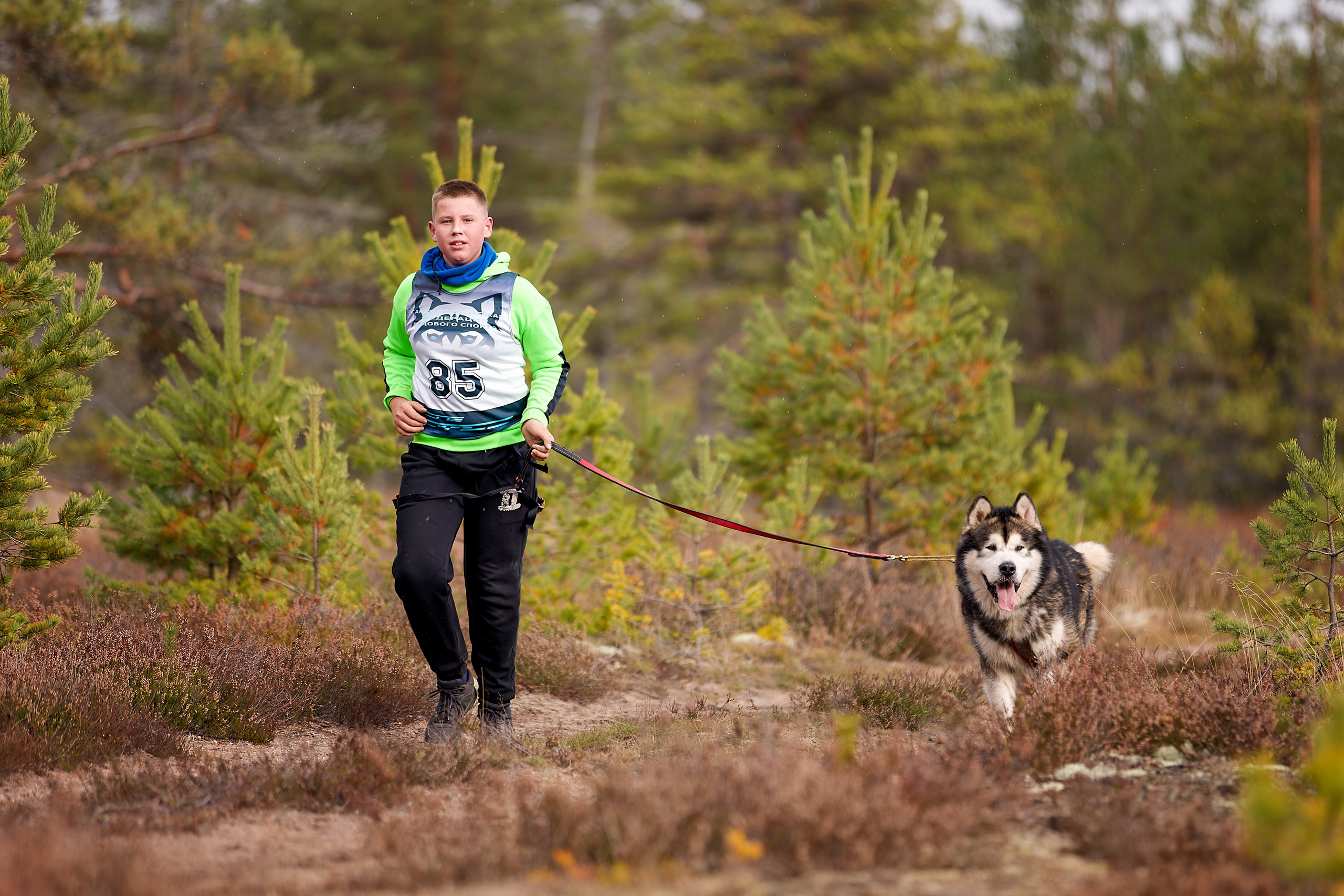 Чемпионат Санкт-Петербурга осень 2025. Irenephoto.ru