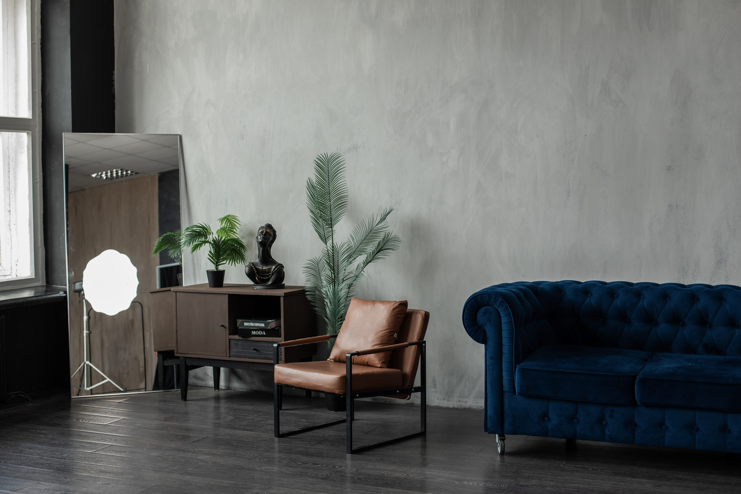 Честер (студия Зеркало). Фотограф г. Хабаровск. Семейные и индивидуальные съёмки