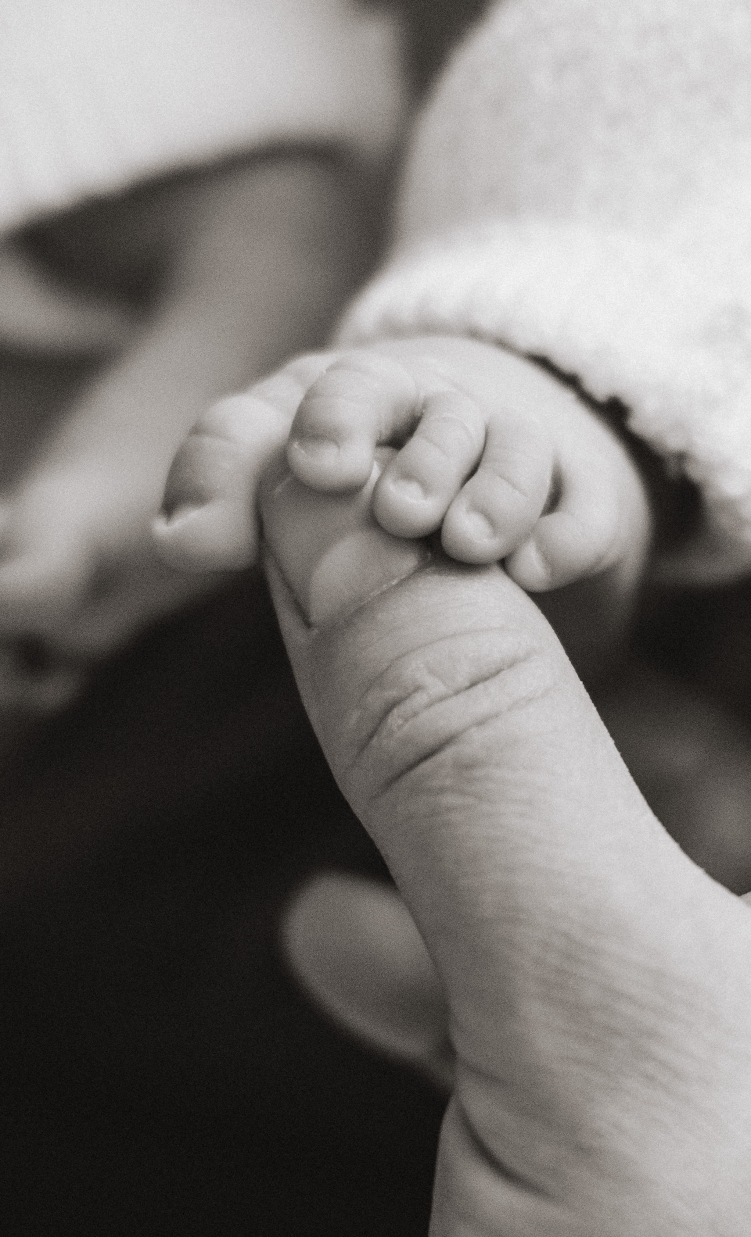 Выписка Евы + Нью Борн. Свадебный и семейный фотограф в Краснодаре Диана Смирнова