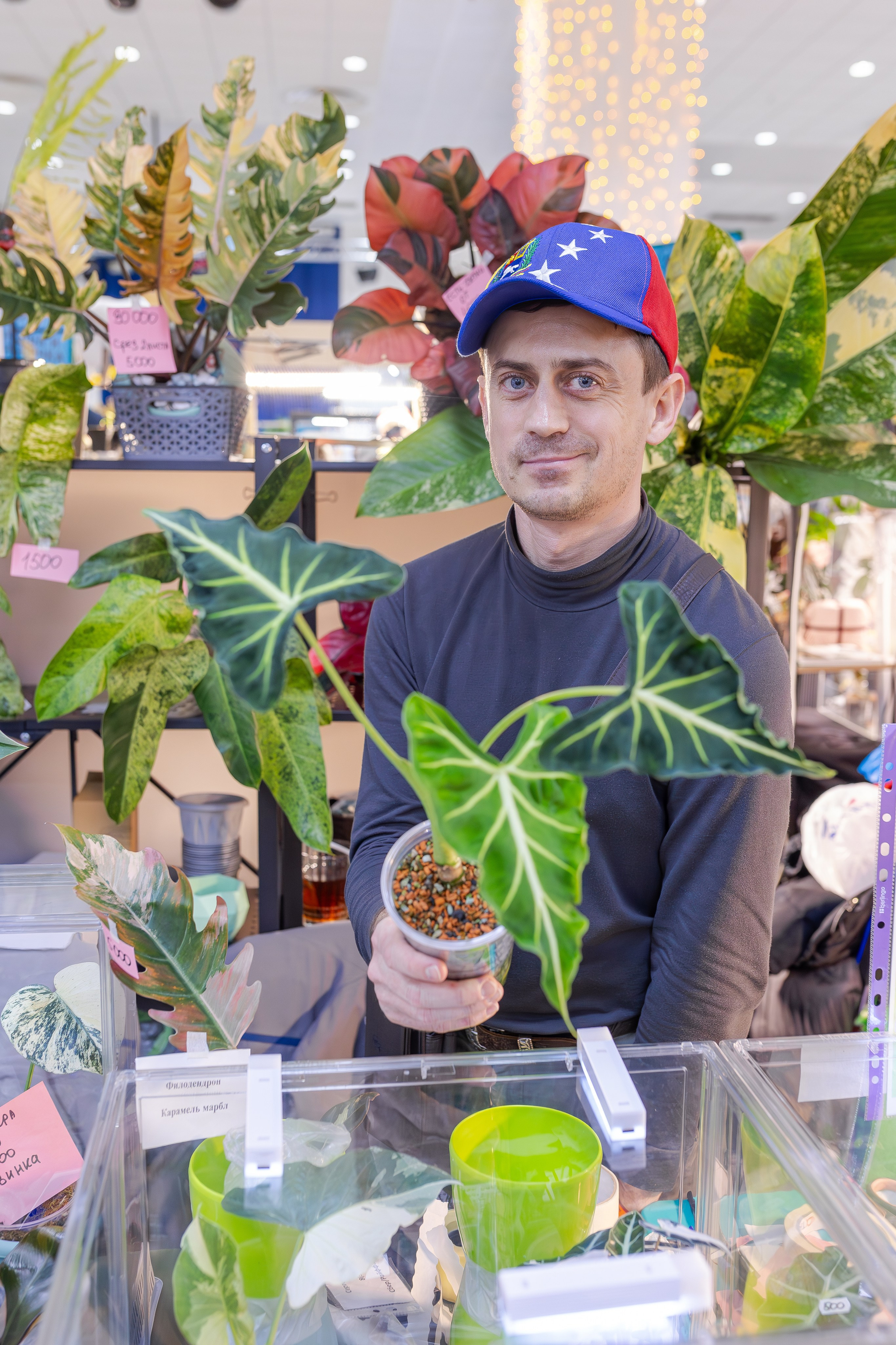 Орхидиум 12.2025. Александра Куликова фотограф, Москва