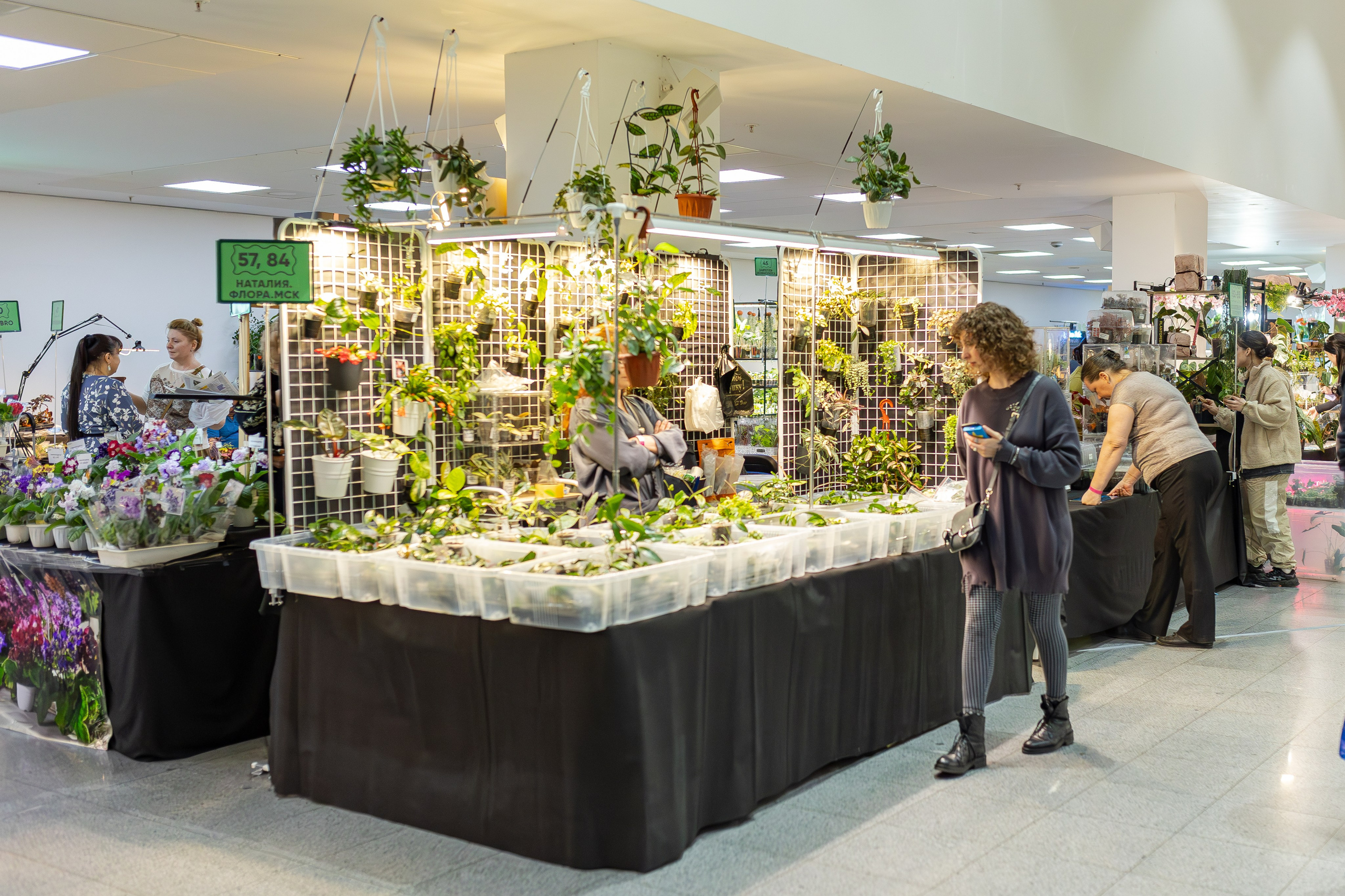 Монстериум апрель 2026. Александра Куликова фотограф, Москва