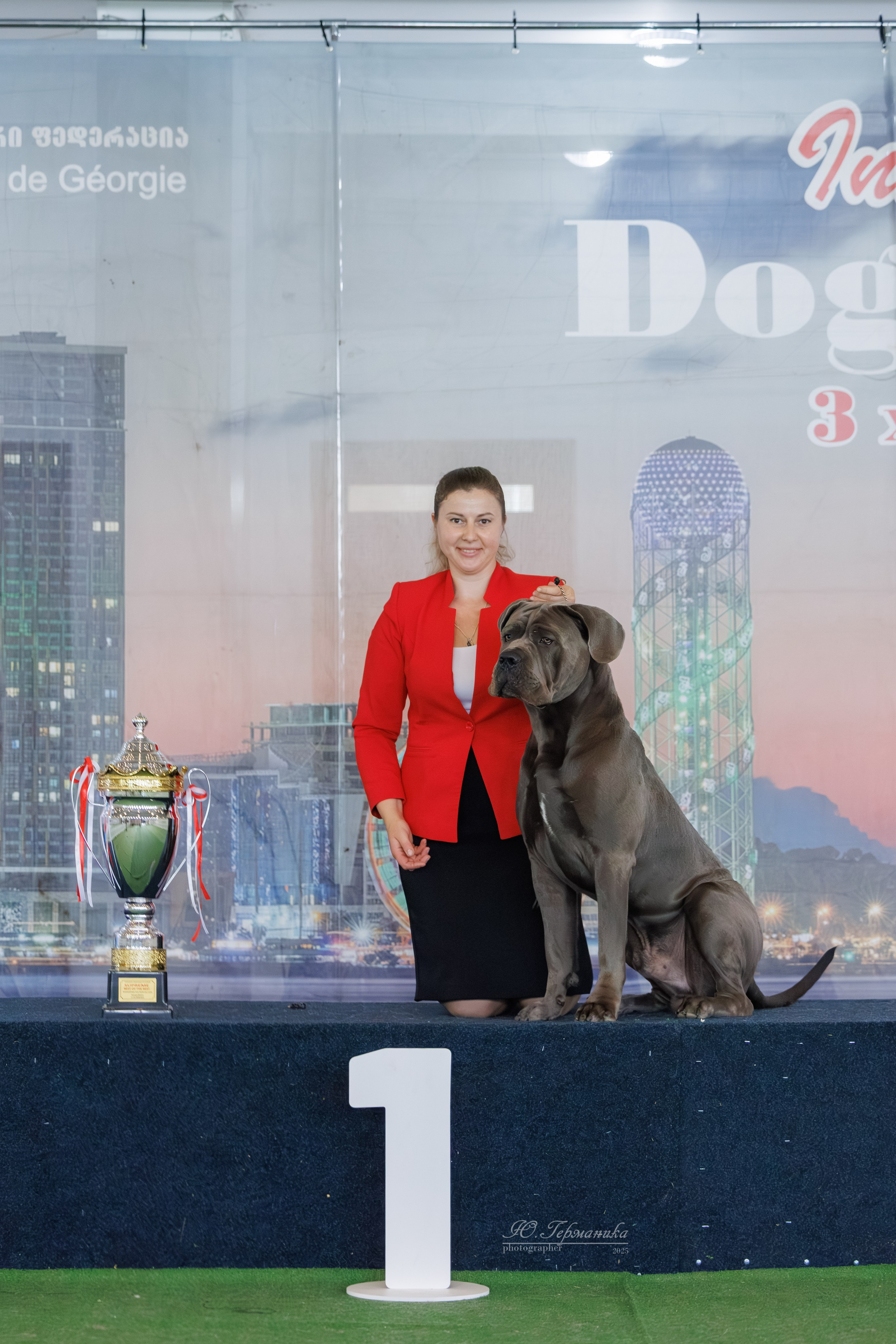 Батуми 3хCACIB 27-29.06.2025. Фотограф-анималист Юлия Германика