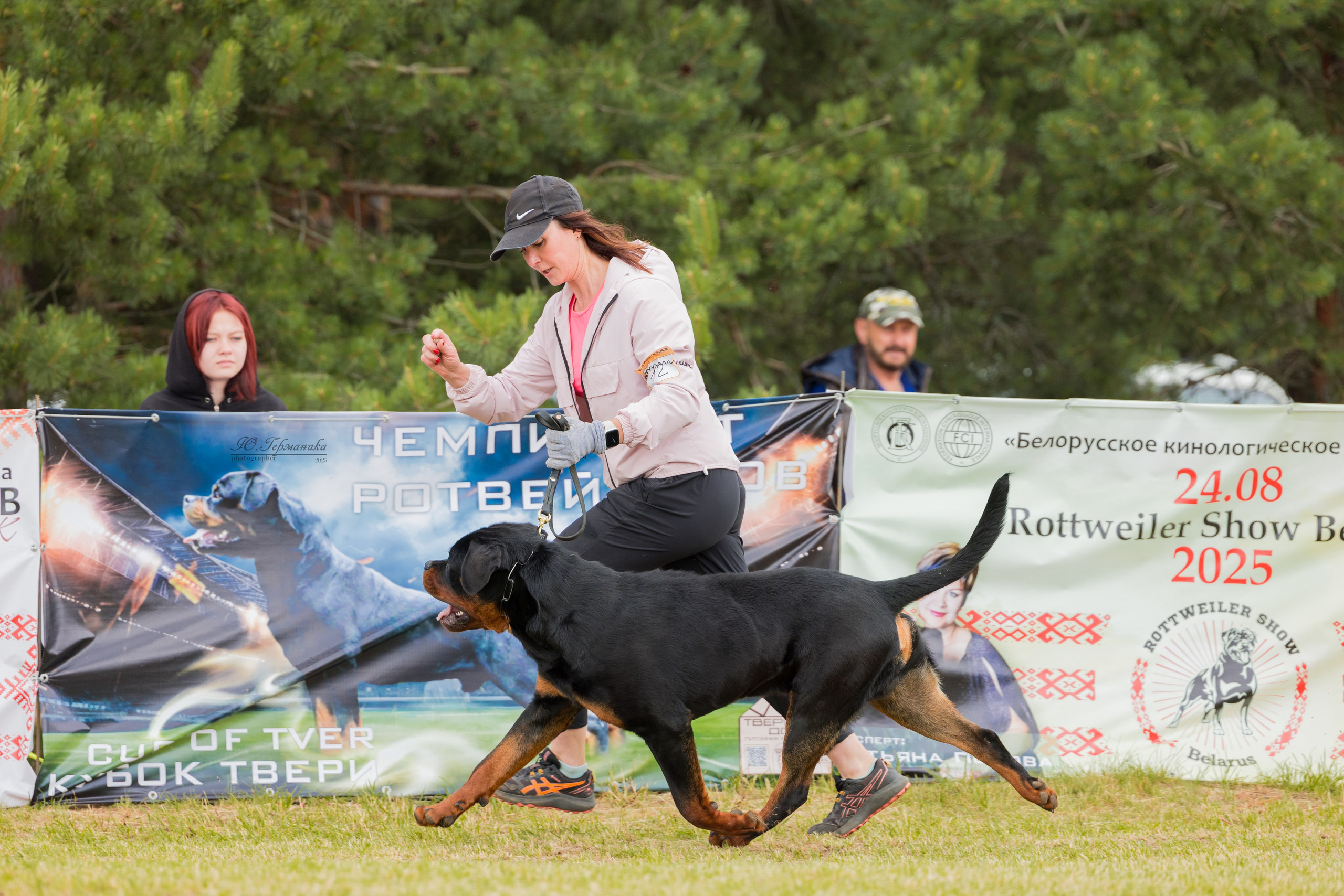 Тверь ротвейлеры 5-6.07.2025. Фотограф-анималист Юлия Германика