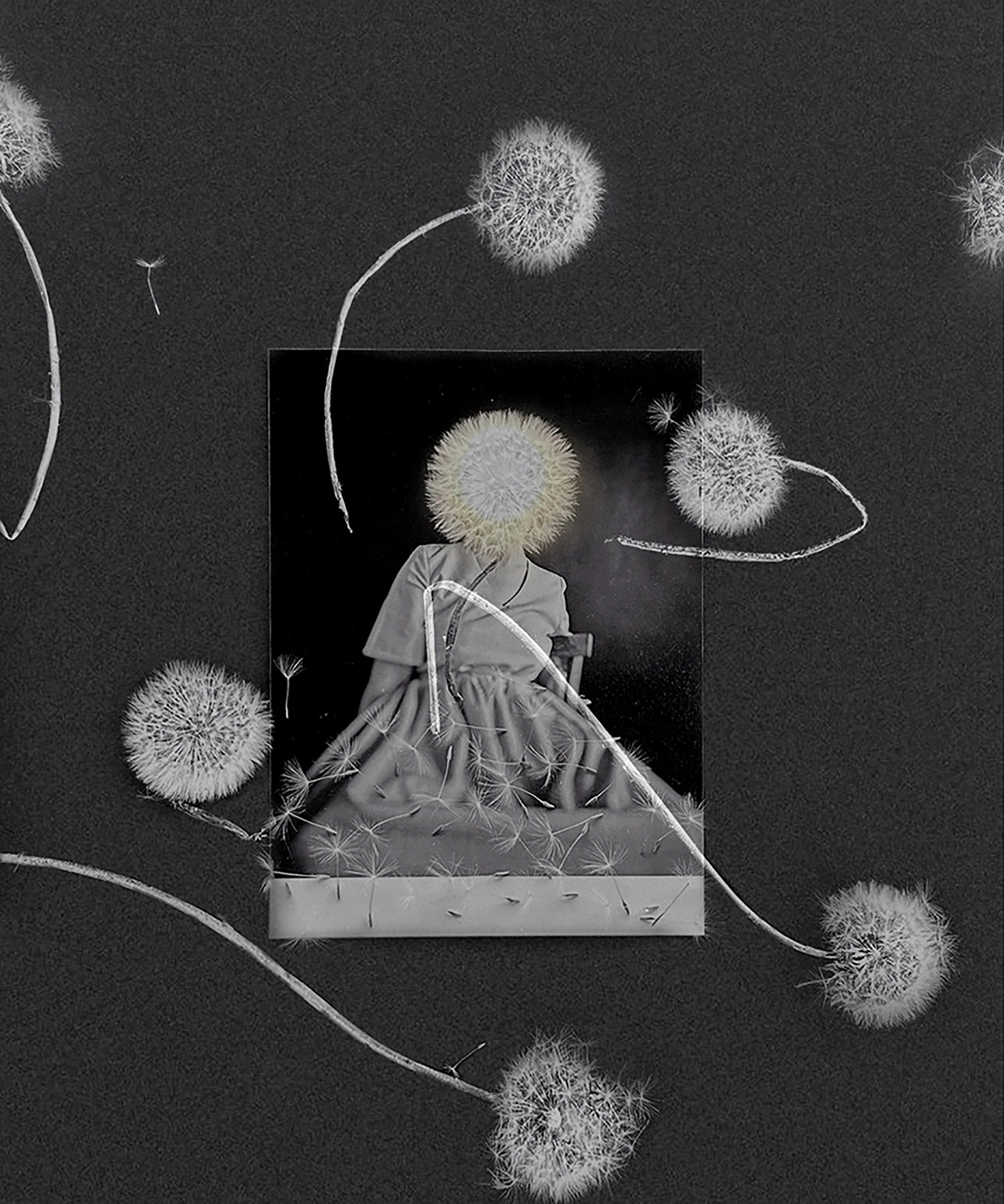 Портфолио. Визуальный художник Ольга Кутерина