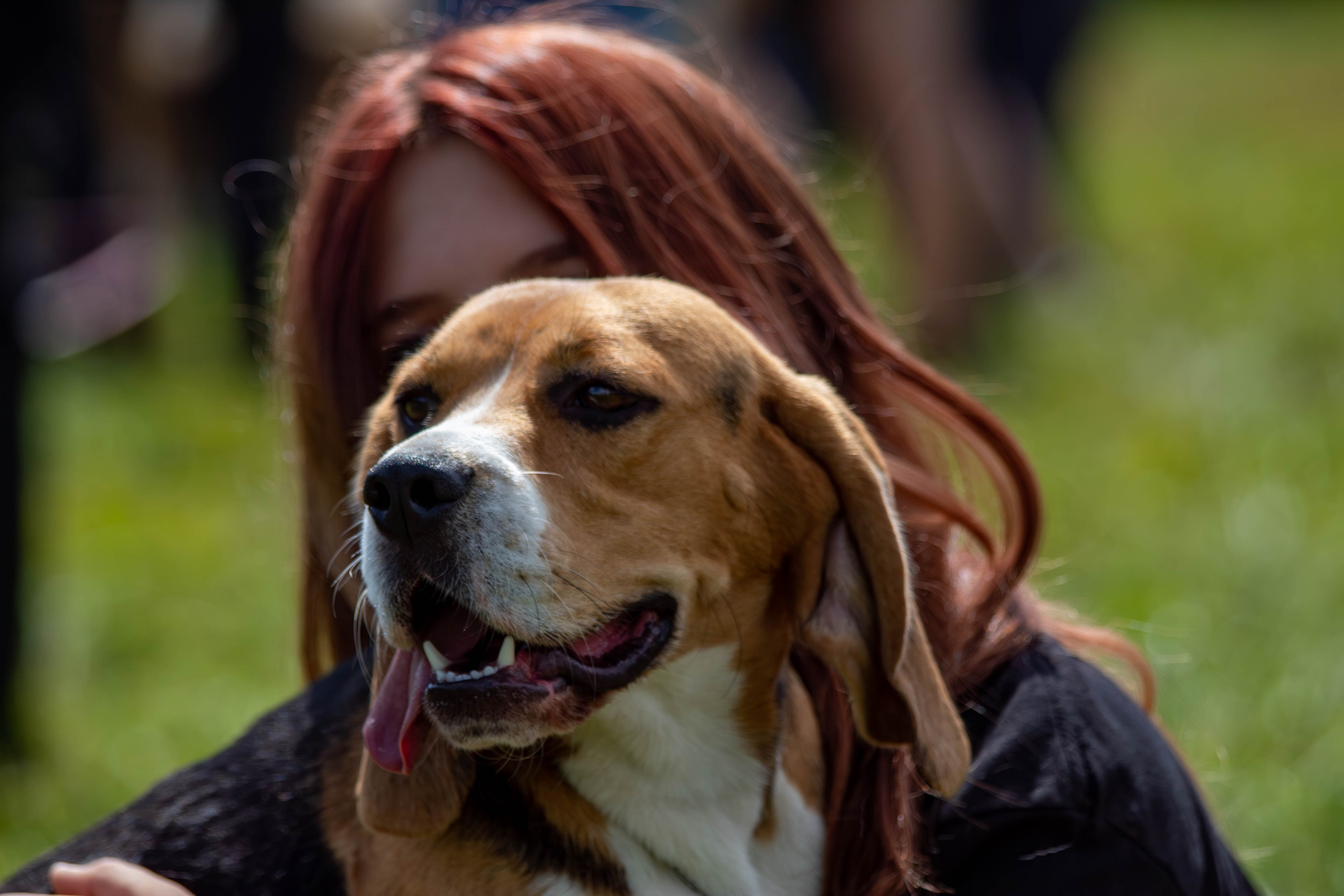 Репортажная съемка в Туле. Фотограф анималист — Тула, Москва