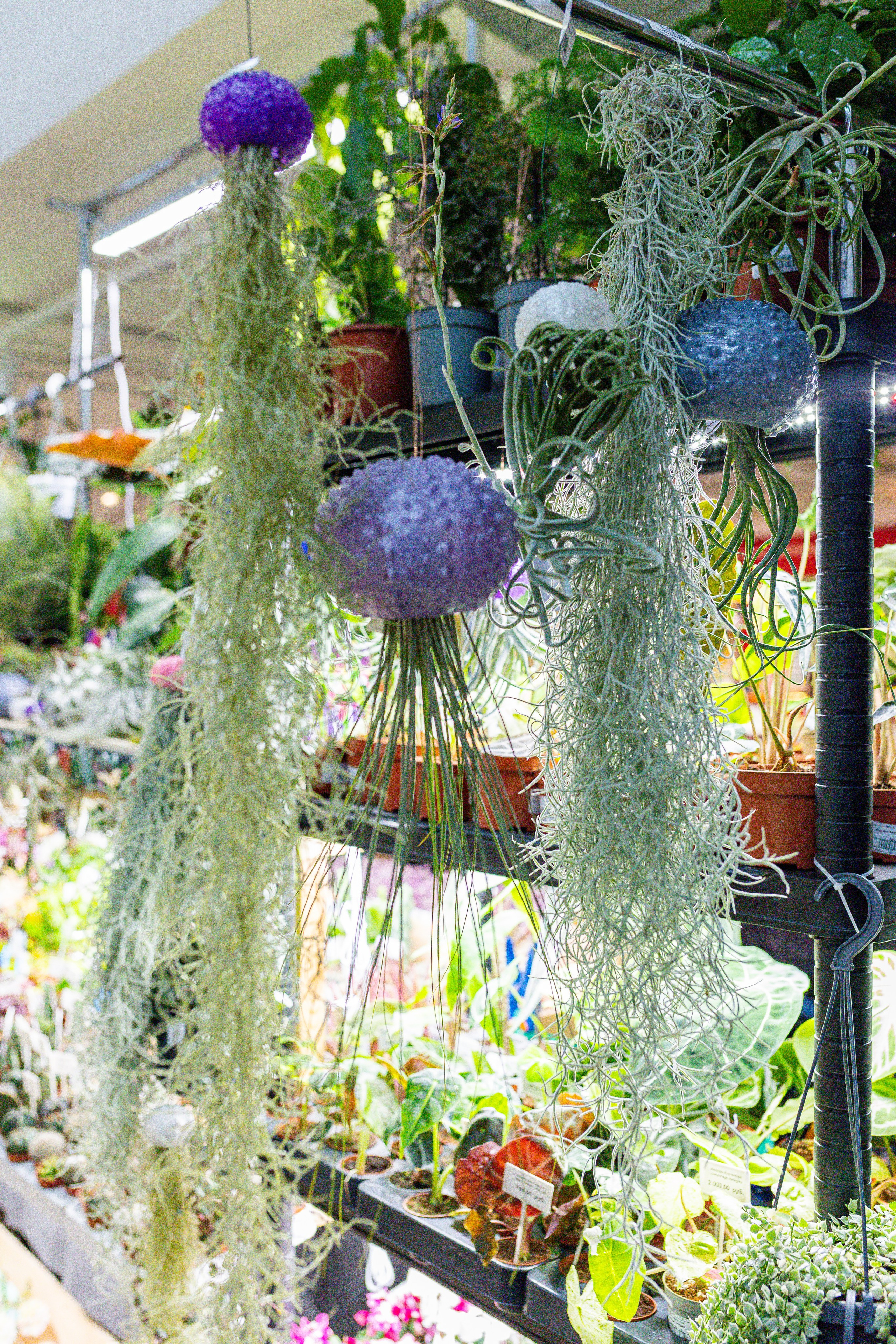 Growbox декабрь 2025. Александра Куликова фотограф, Москва