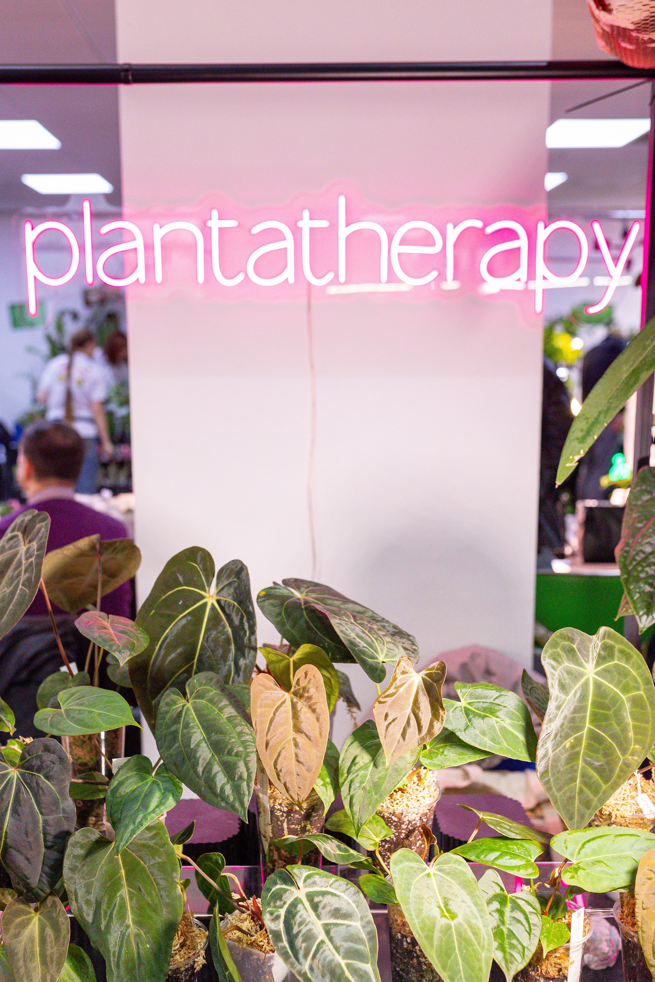 Монстериум 11–12 октября. Александра Куликова фотограф, Москва