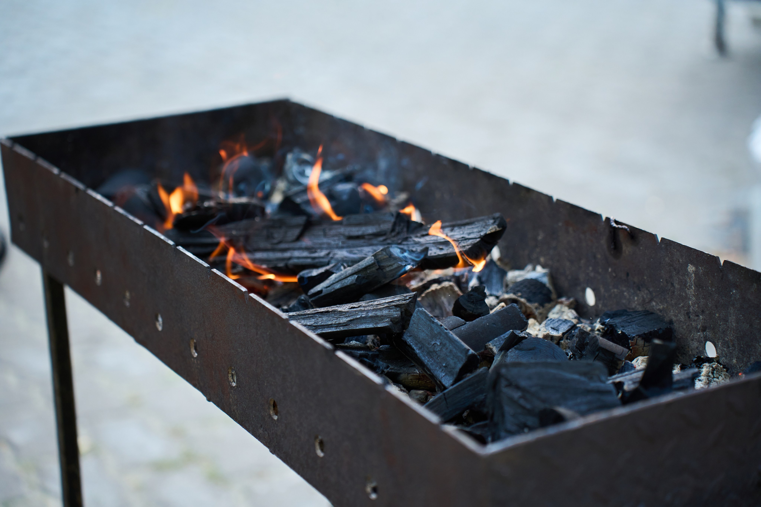 All-hands Третье Мнение 2025. Елизавета Мальгина, фотограф в Москве