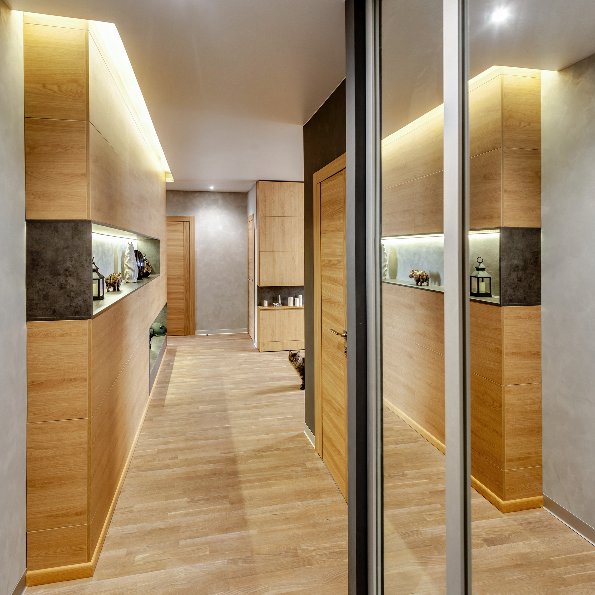 Трехкомнатная квартира с огромным котом. Фотограф для бизнеса Сергей Чирков. Город Ижевск, Удмуртия