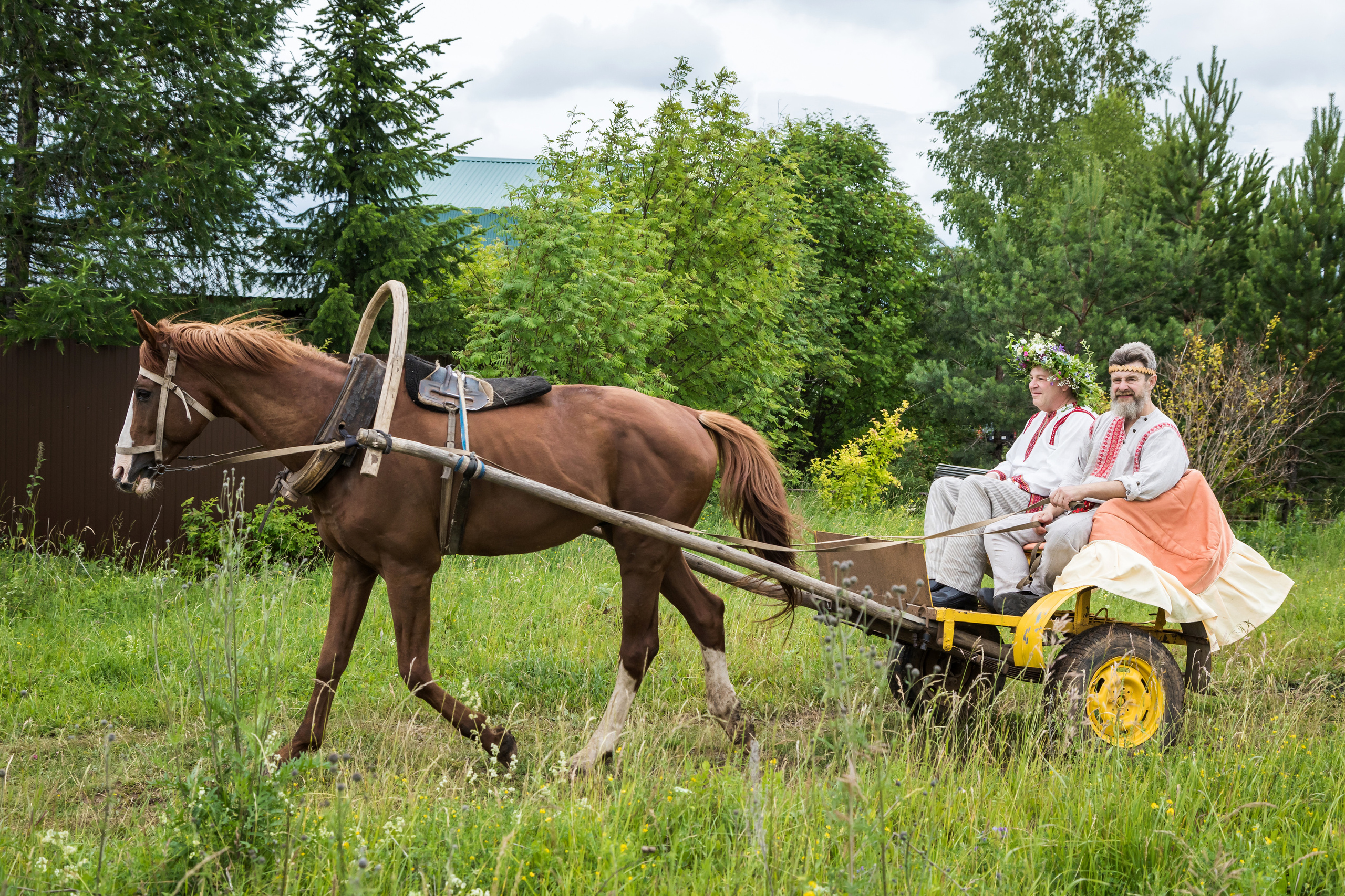 Поваренки. Фотограф для бизнеса Сергей Чирков. Город Ижевск, Удмуртия
