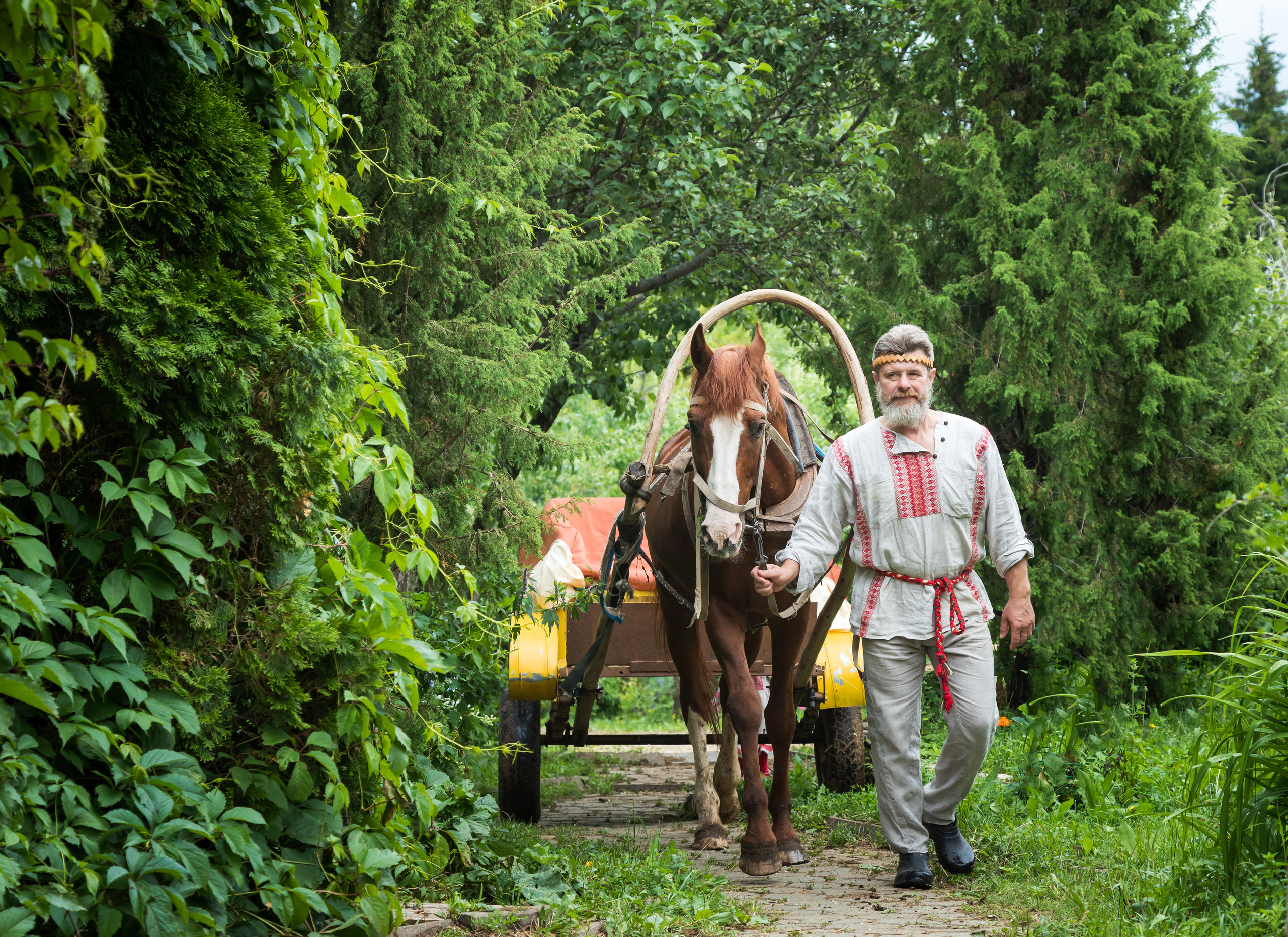 Поваренки. Фотограф для бизнеса Сергей Чирков. Город Ижевск, Удмуртия