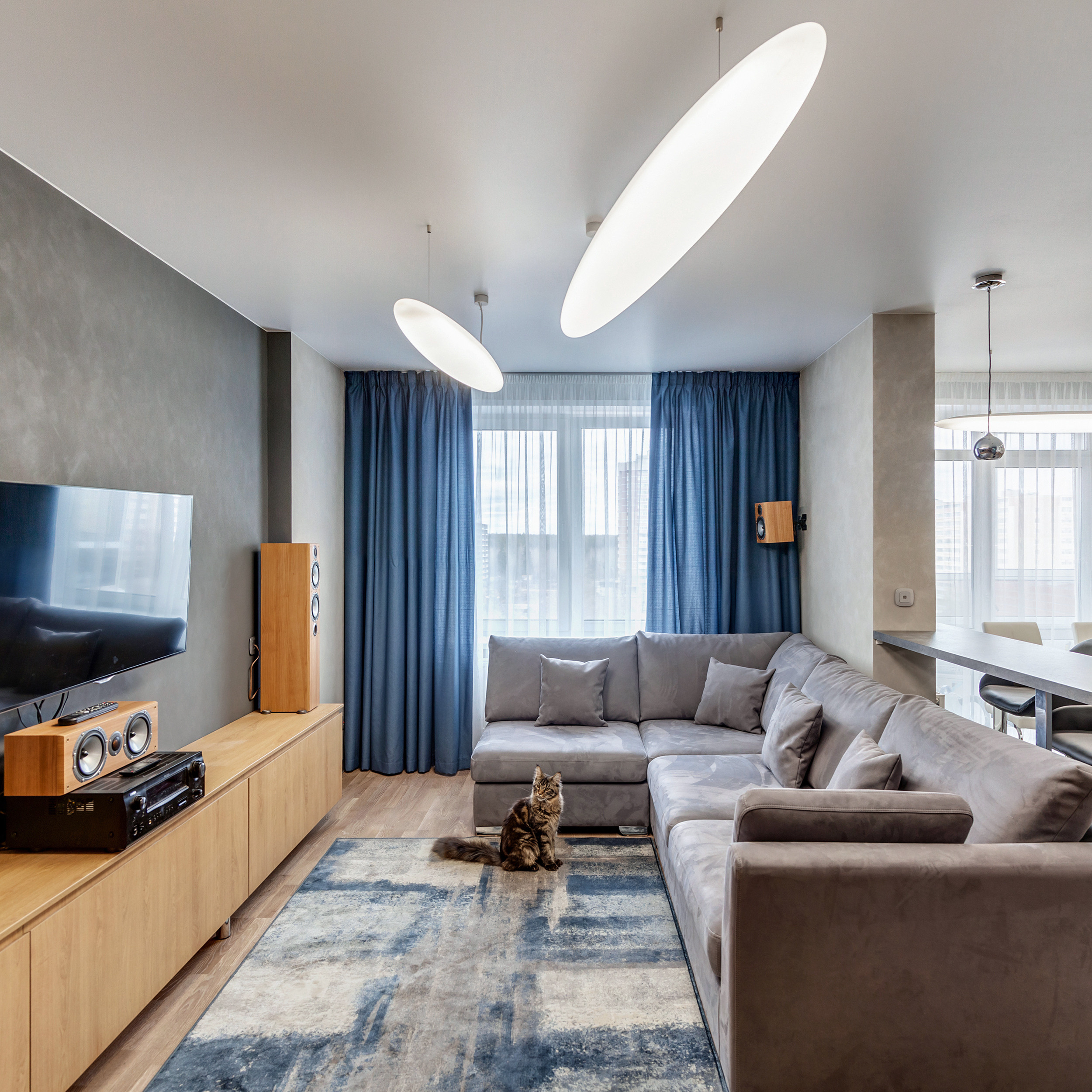 Трехкомнатная квартира с огромным котом. Фотограф для бизнеса Сергей Чирков. Город Ижевск, Удмуртия