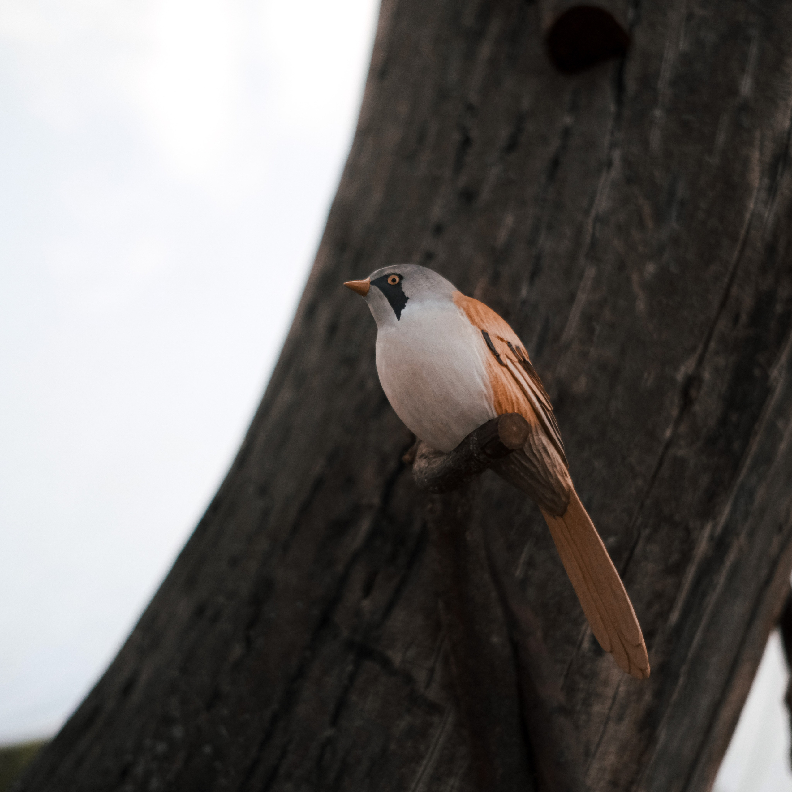 Эко-фестиваль АртЛуга 2022. LIYALEE PHOTO