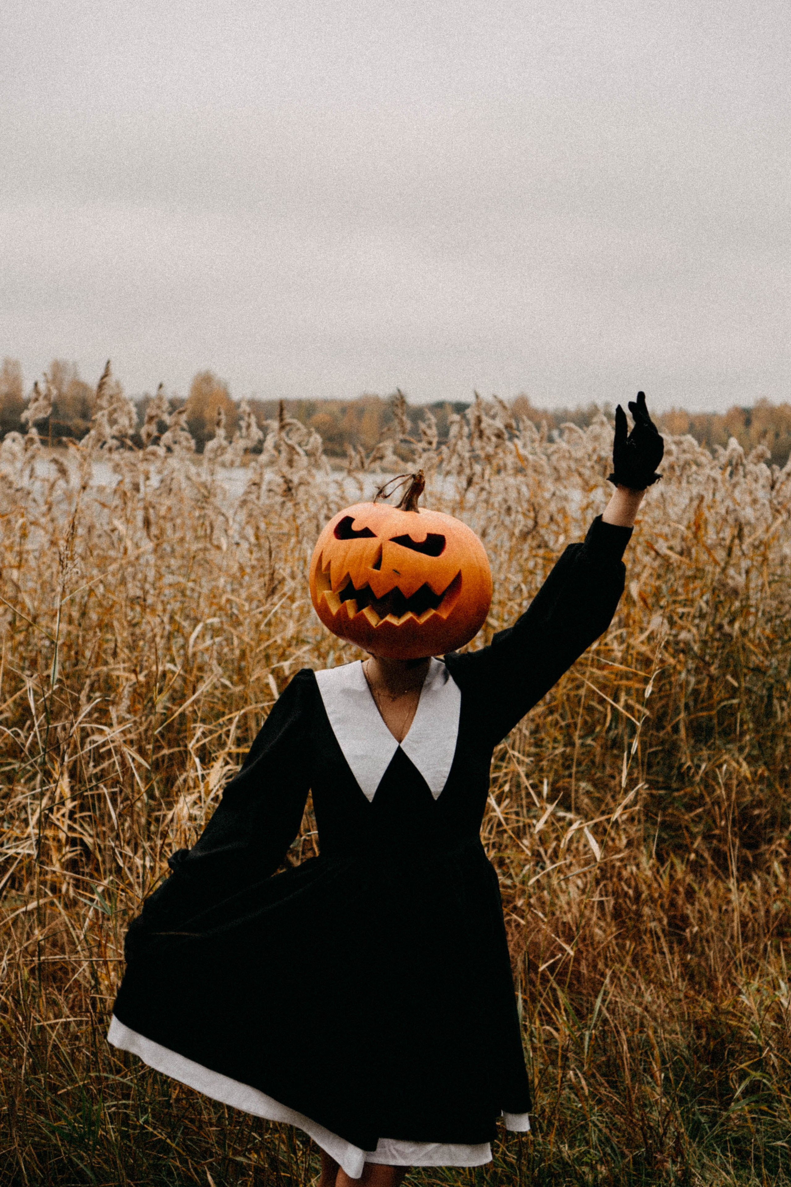 Осеняя. Профессиональный фотограф, Санкт-Петербург — Виктория Богомолова