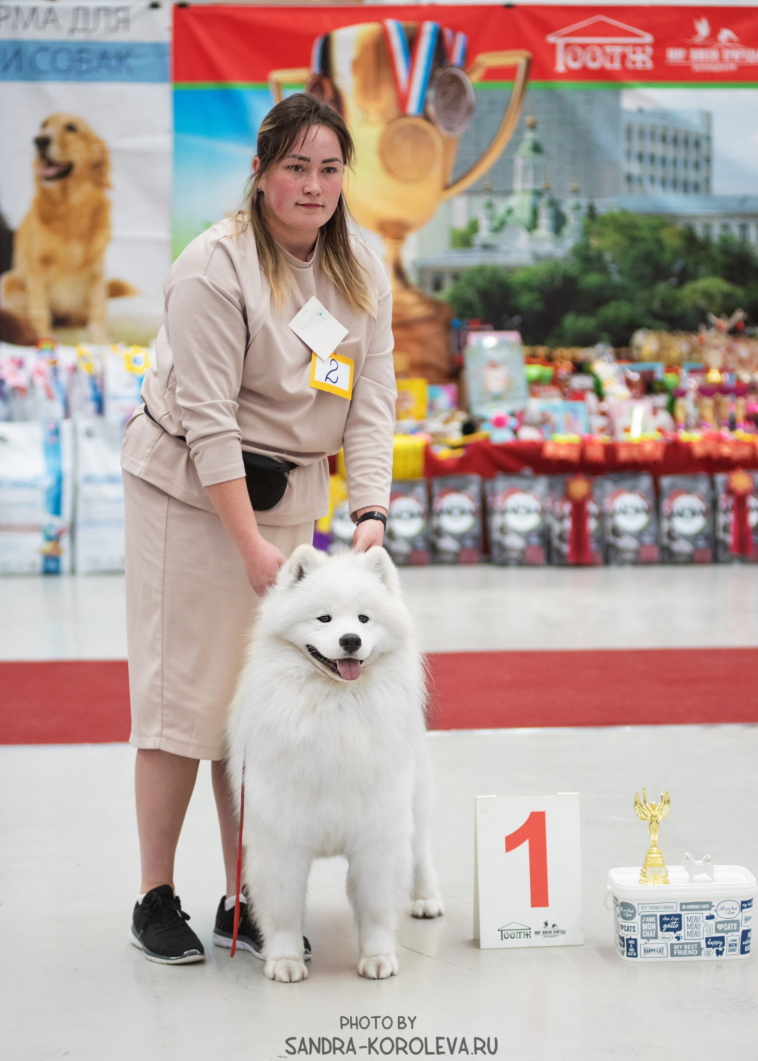 Выставка собак тюмень 10.12.2022. Дог-фотограф в Тюмени Александра Королева
