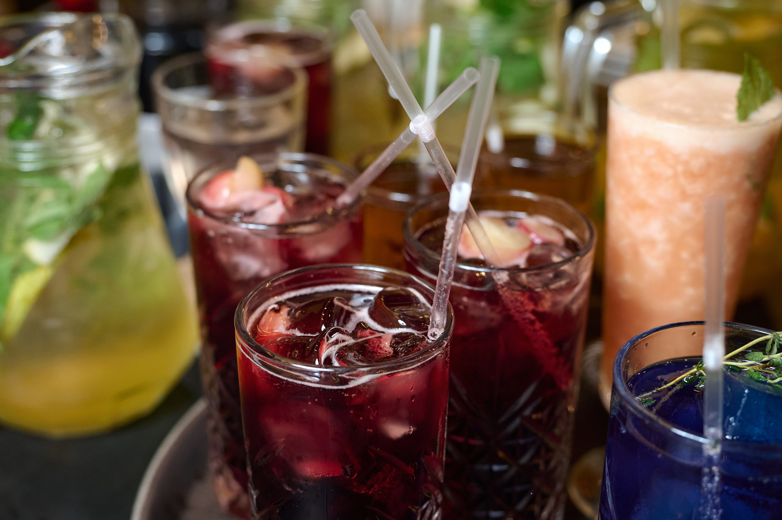 Хочу Пури 3 года. Фотограф Опыт Качество Скорость Горный Алтай Барнаул