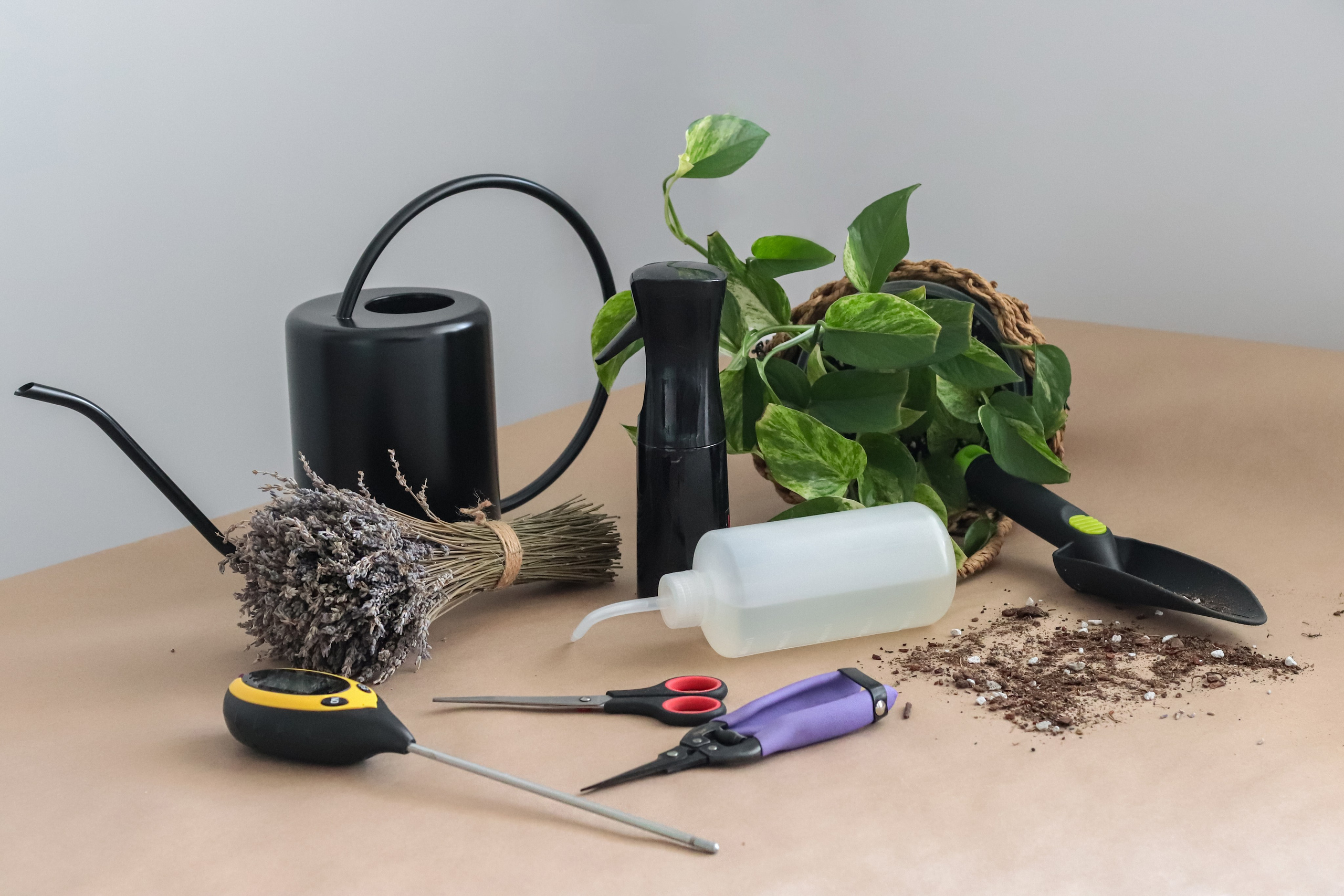 Контент съёмка для фитодизайнера. Фотограф Химки Анна Татарских