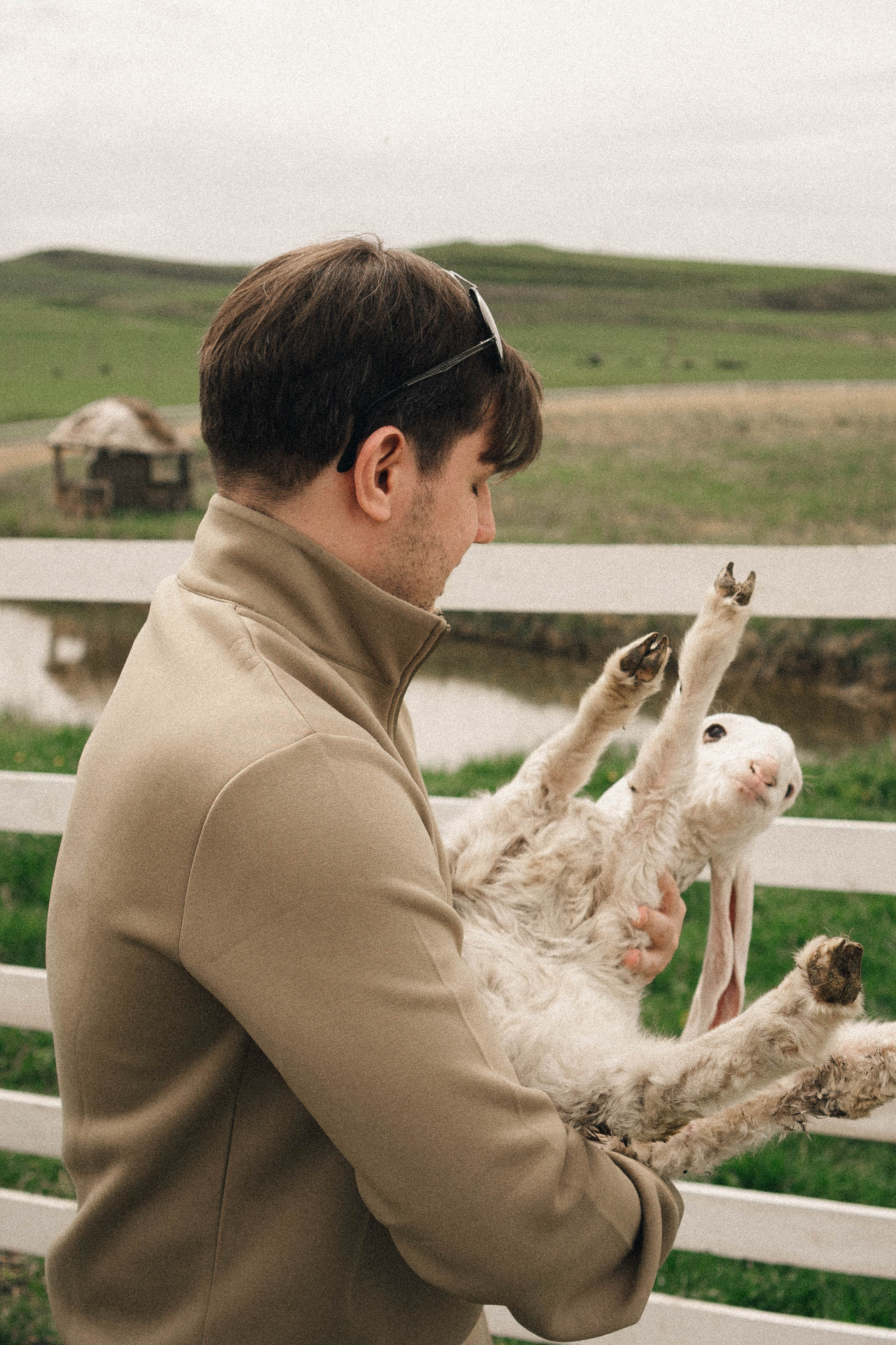 Ферма Альпак. Профессиональный фотограф, Санкт-Петербург — Виктория Богомолова