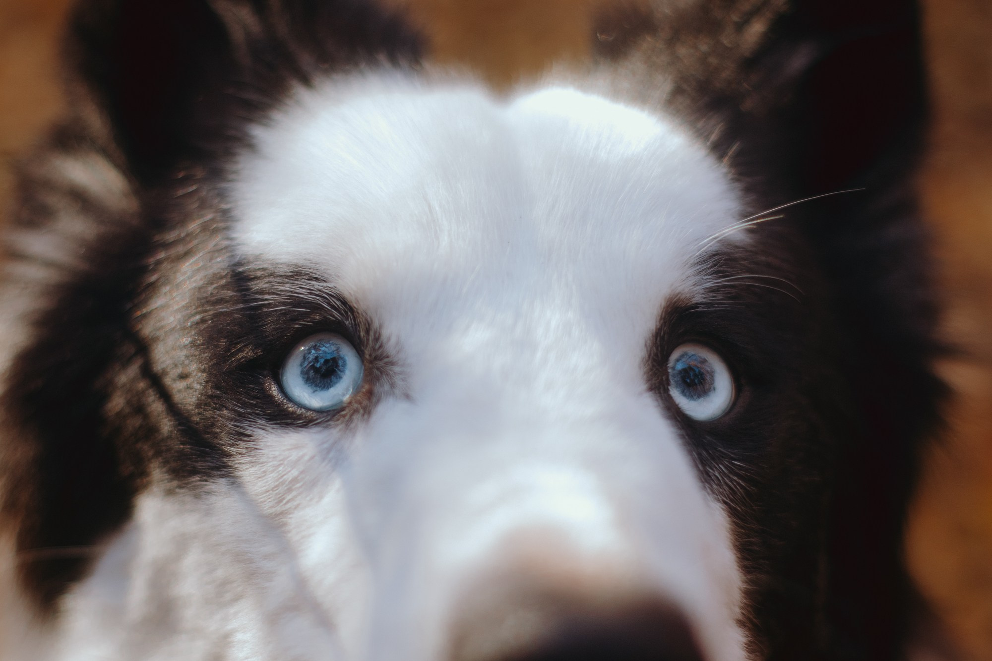 Ликёр. Фотограф в Тюмени Лизавета Сапицкая