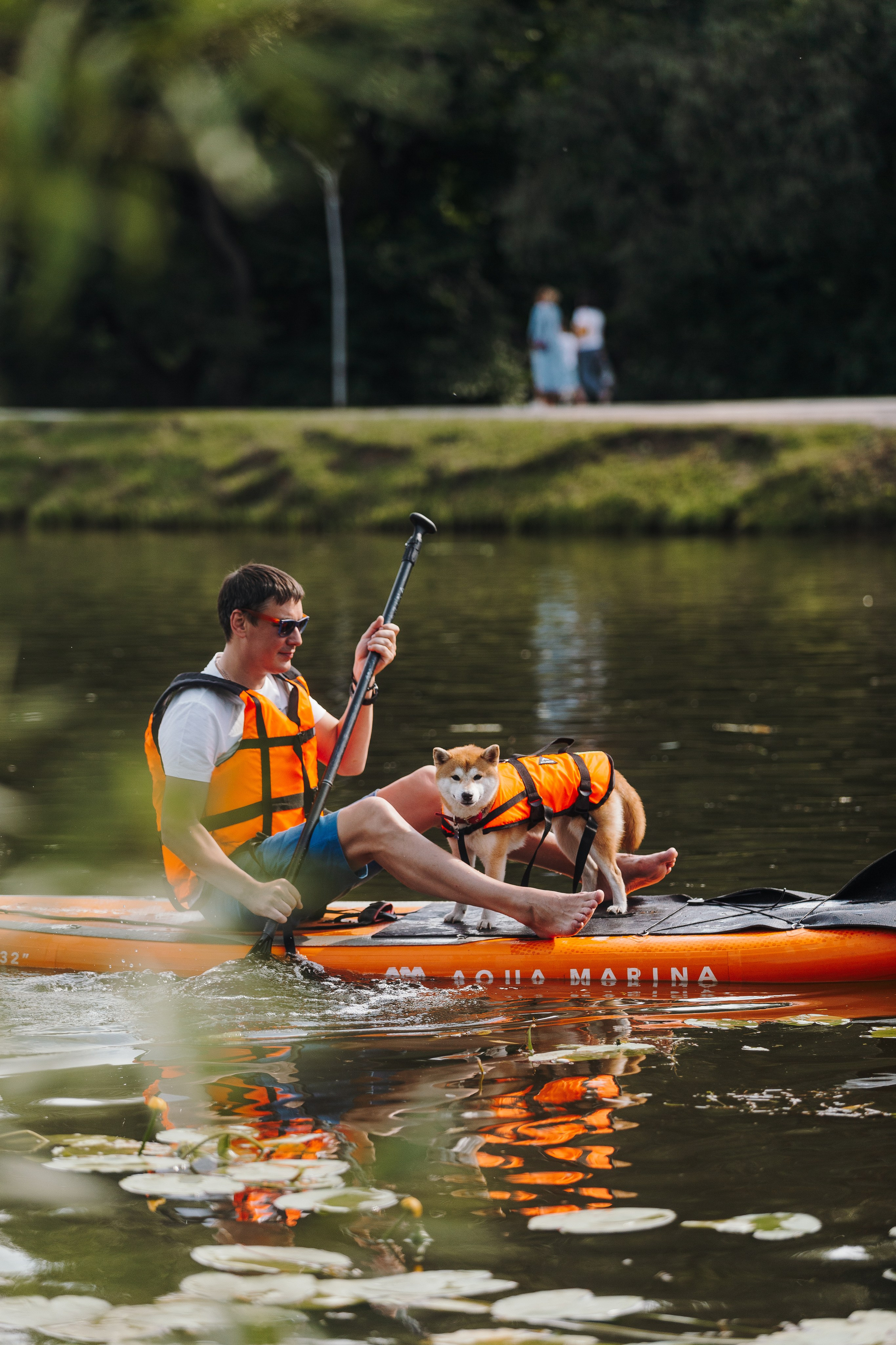 Petshop Sup day. Фотограф анималист Кристина Карпова, Москва