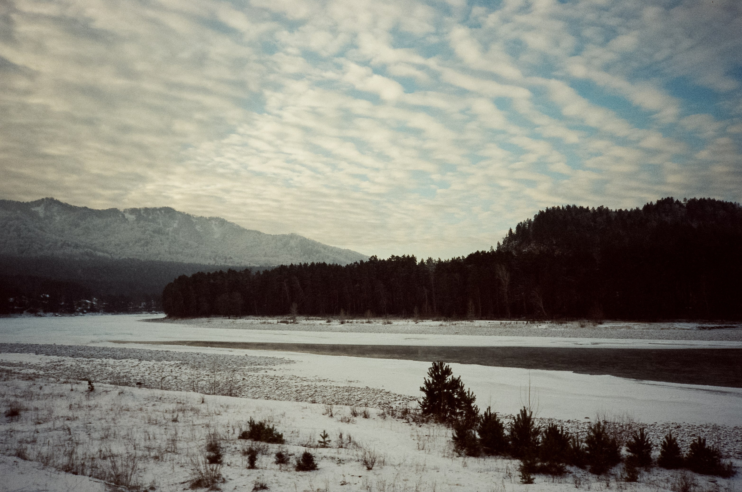 Утро в Манжероке и кафе-автобус Coffee Bus на Чемальском тракте. Фотограф-документалист Мария Осокина