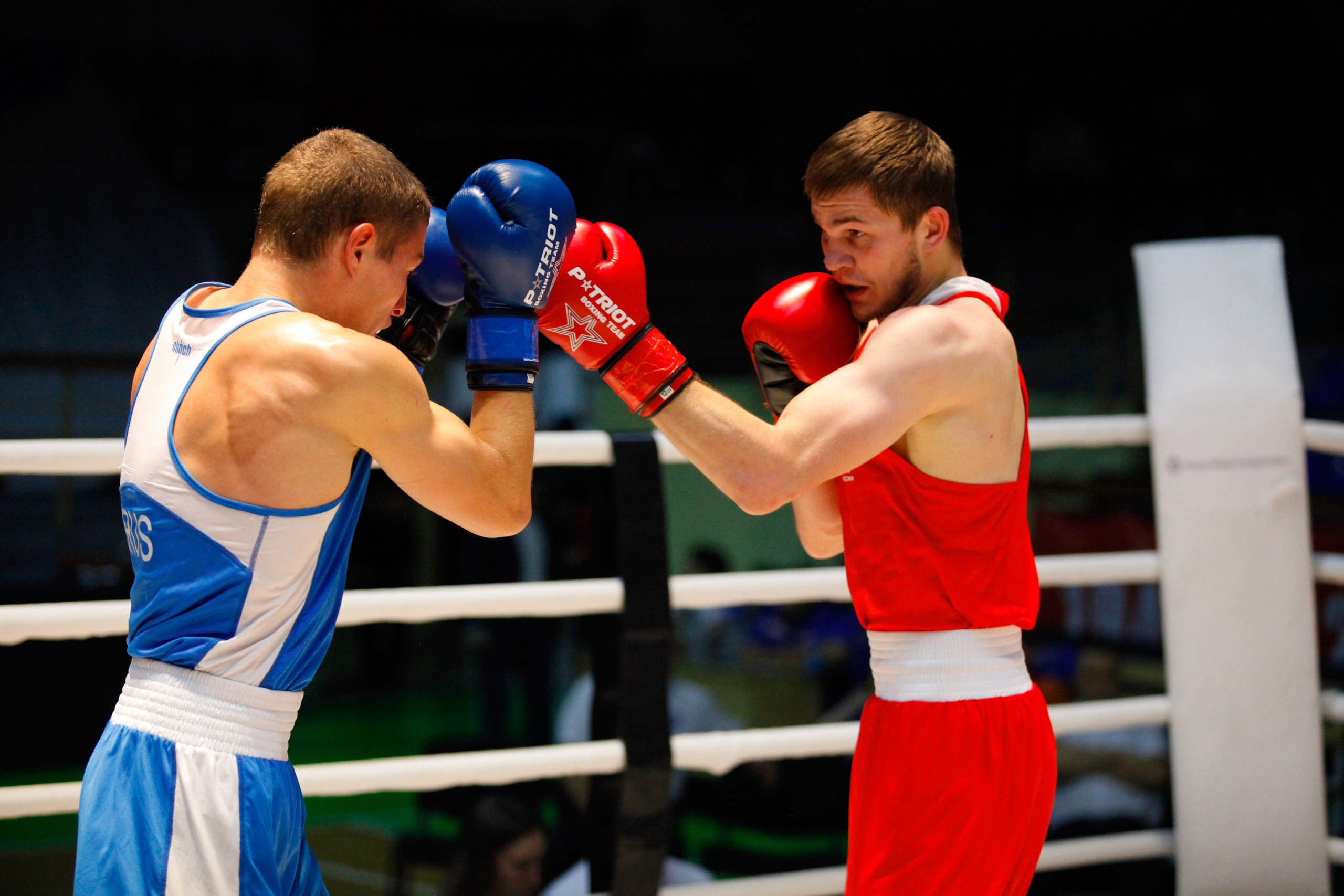 БОКС. Фото. Спортивный фотограф, трансляция, звук и свет в Новосибирске