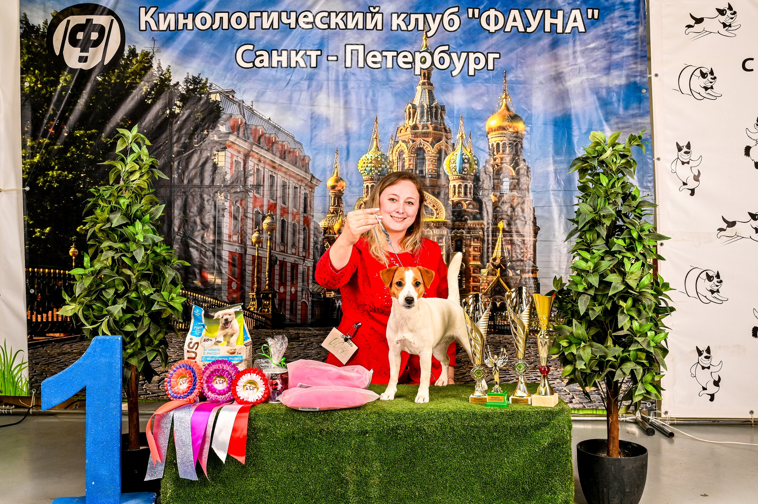 Выставка Клубы «Фауна» и «Догсити» 21-22 Июня 2025 «Пёсбург». Фотограф-анималист в СПб