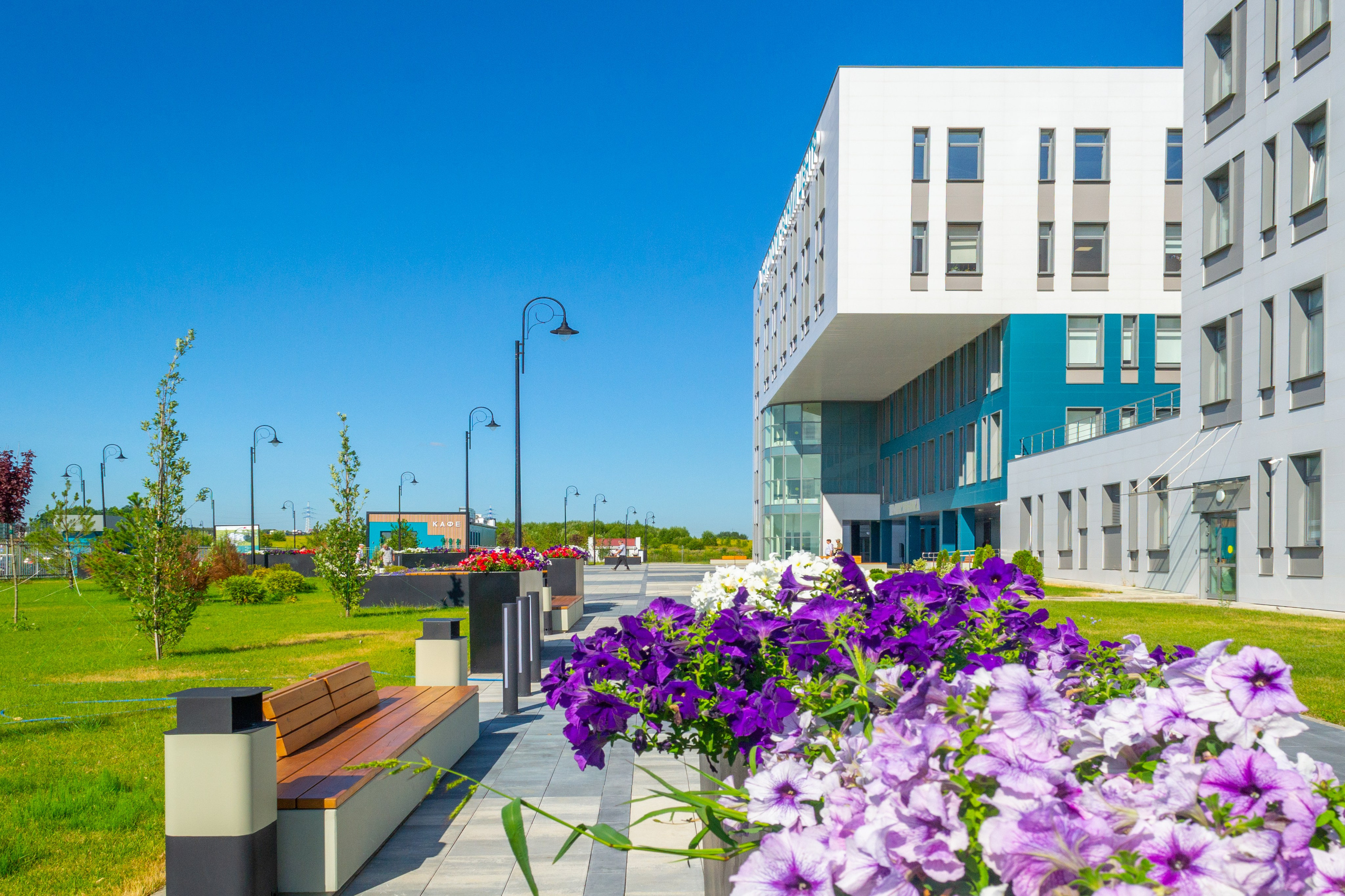 Тульская областная онкологическая больница (лето-цветы, NIKON D3100 35 мм F1,8)). Фотограф в Туле Крупский АнДРей. Фотостудия «КАДР71» в Туле