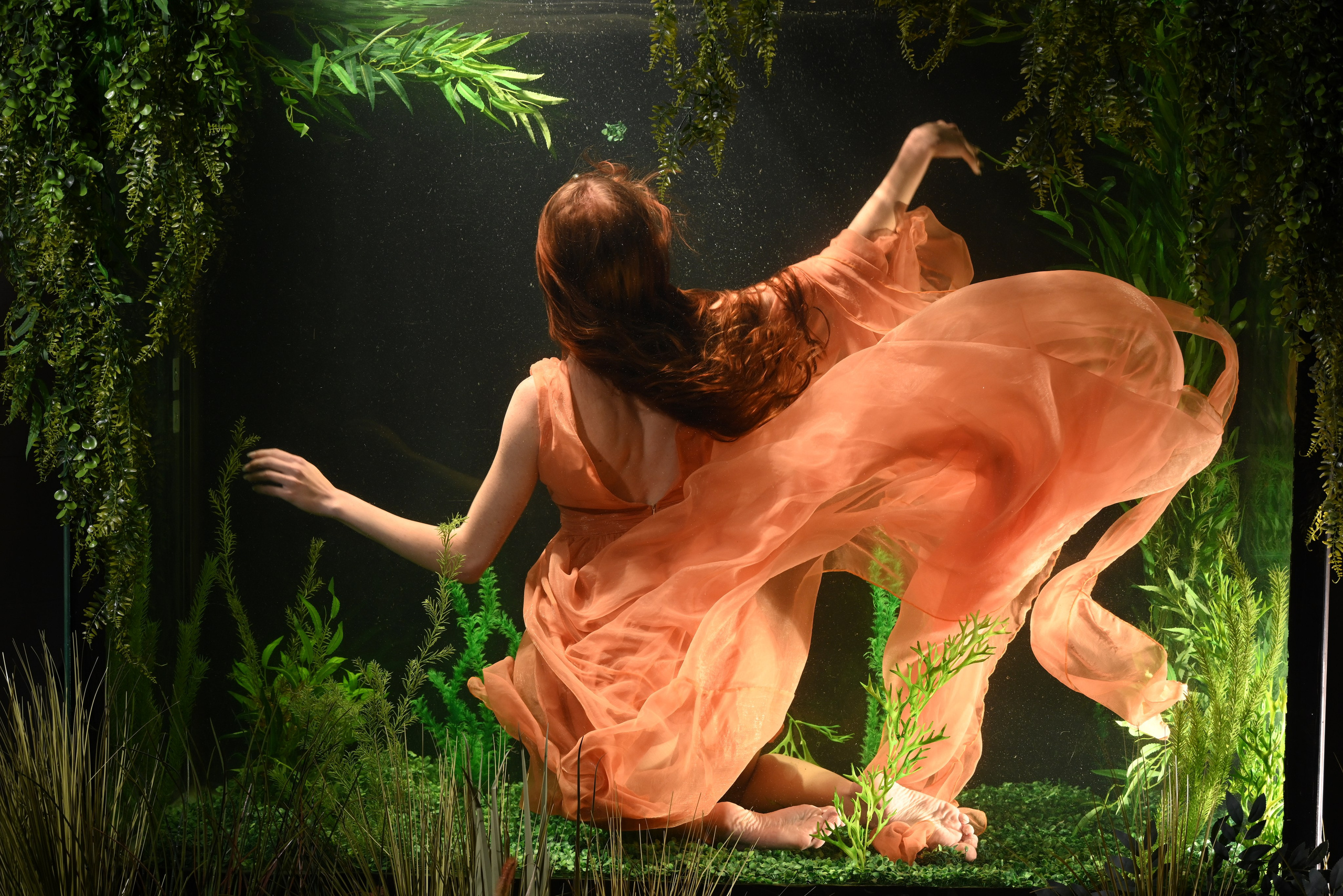 Аквариумные снимки. Фотограф в Санкт-Петербурге Сафронов Николай