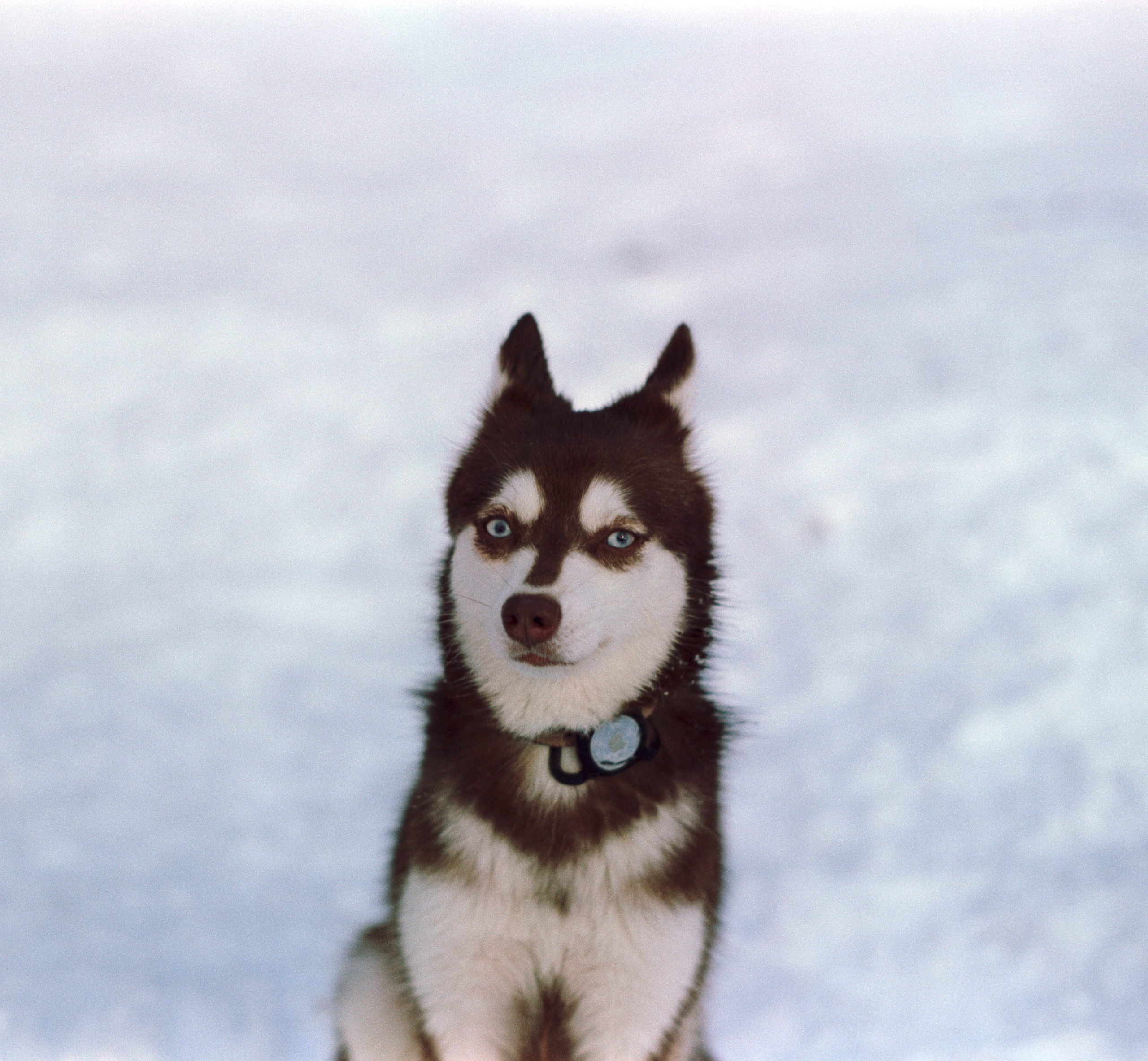 W. Стилист и плёночный фотограф Анастасия Шлокова в Санкт-Петербурге и Москве