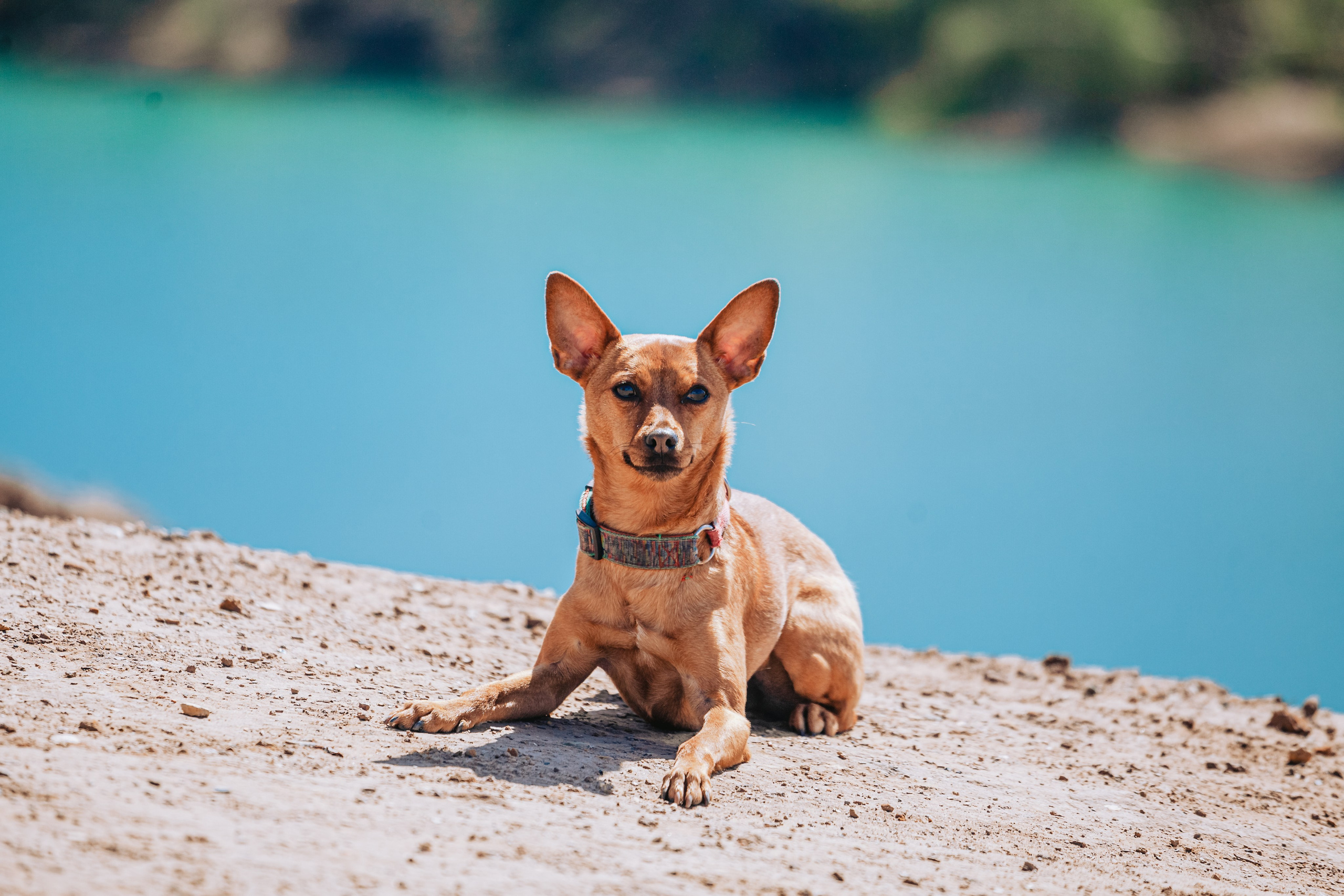 Кондуки. Фотограф-анималист Татьяна Степанова