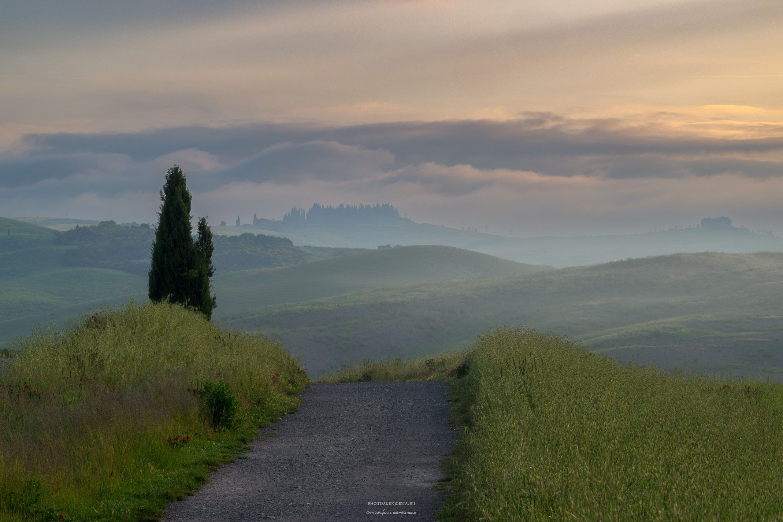 Великолепная Тоскана. Авторские стильные фотокартины