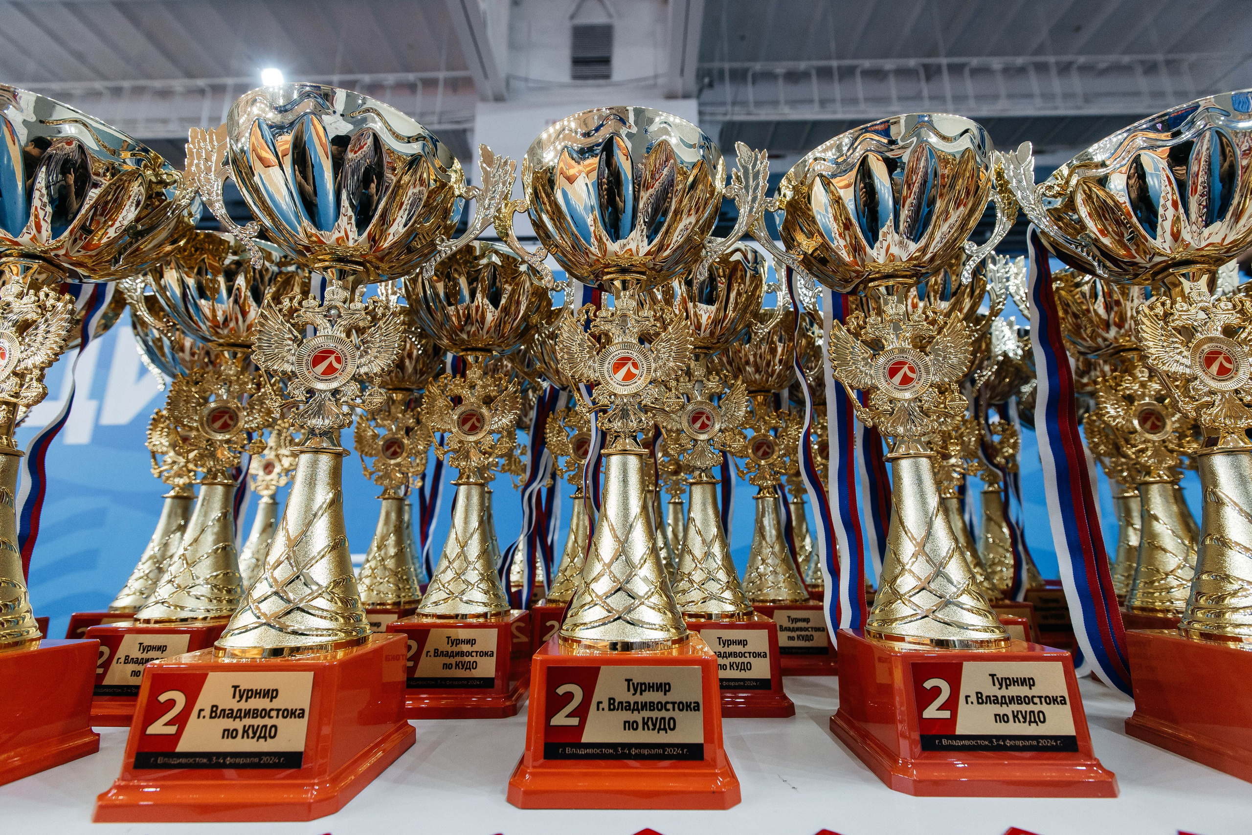 Kudo Championship. Фотограф во Владивостоке Максим Цой