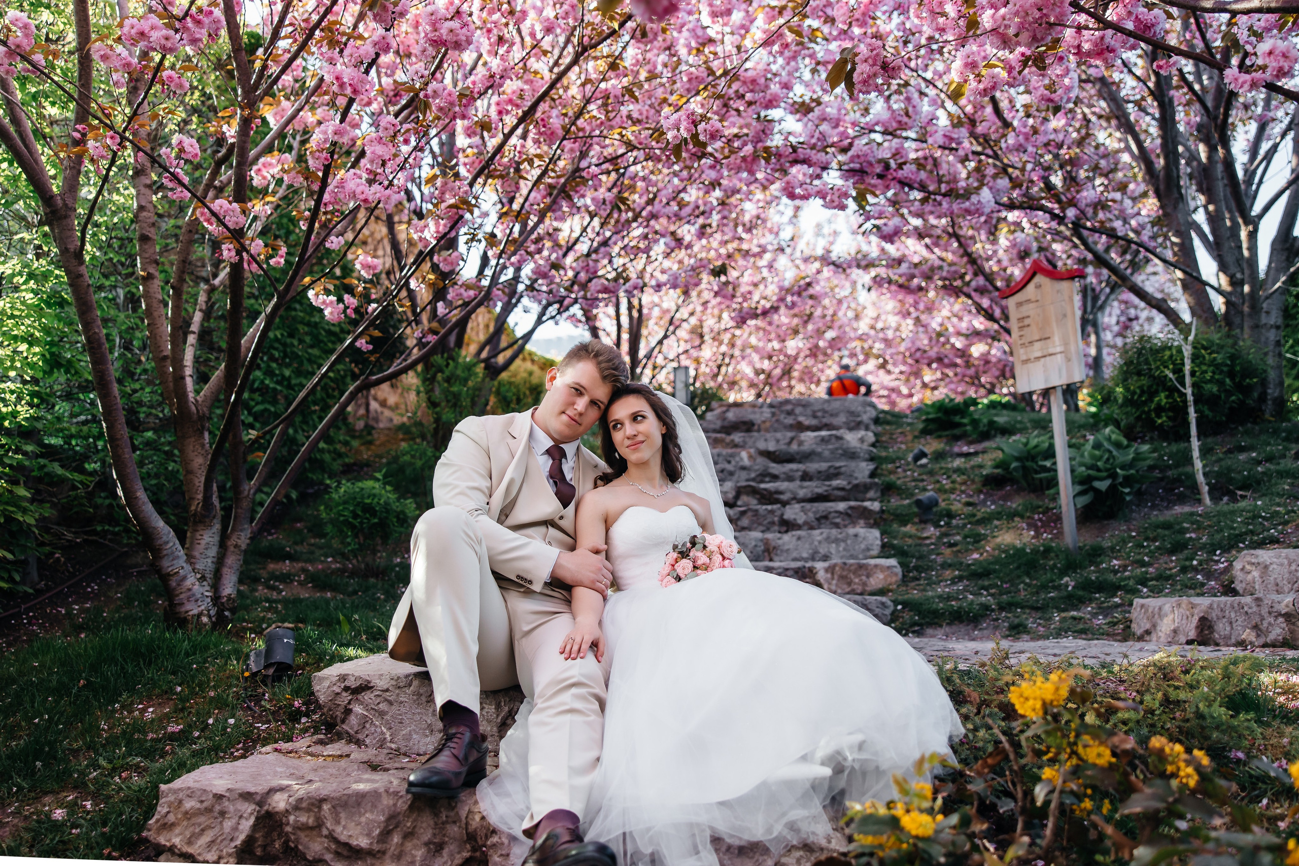 Сакура в Японском саду. Анонс свадьбы для Никиты и Марины. Свадебный фотограф в Крыму и Севастополе Ольга Баскакова