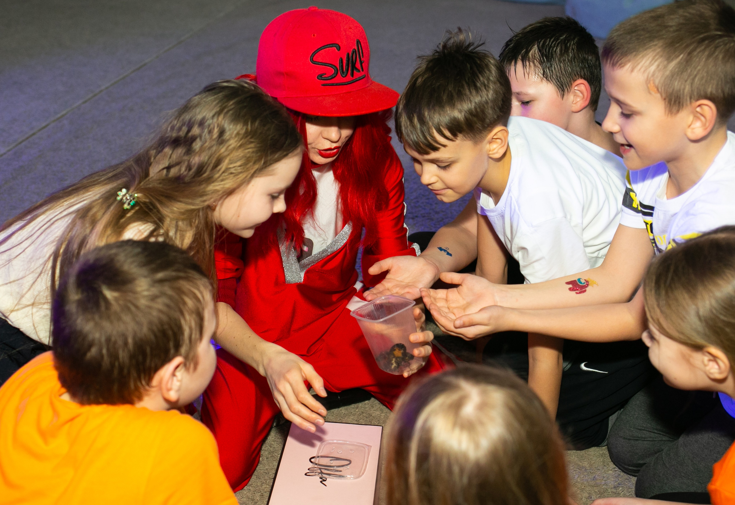 Праздники. Фотограф новорожденных и семейный фотограф НСО г. Бердск Марина Львова