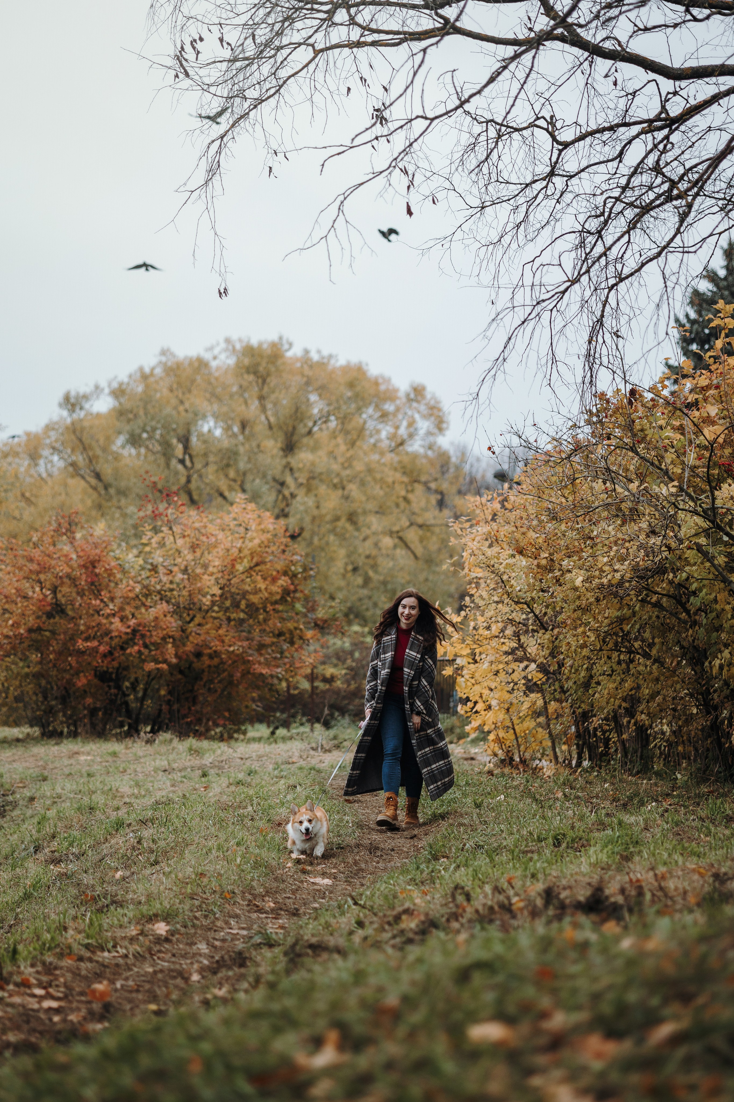 Юля и Терри. Фотограф — Анималист | Санкт-Петербург